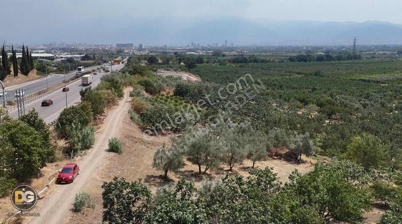 Bursa Osmangazi Armutköy Satılık Hobi Bahçeleri - Görsel 9