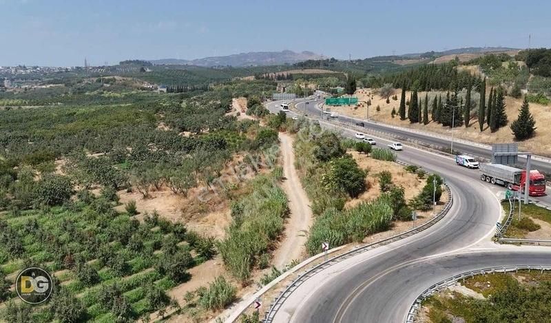 Bursa Osmangazi Armutköy Satılık Hobi Bahçeleri - Görsel 5
