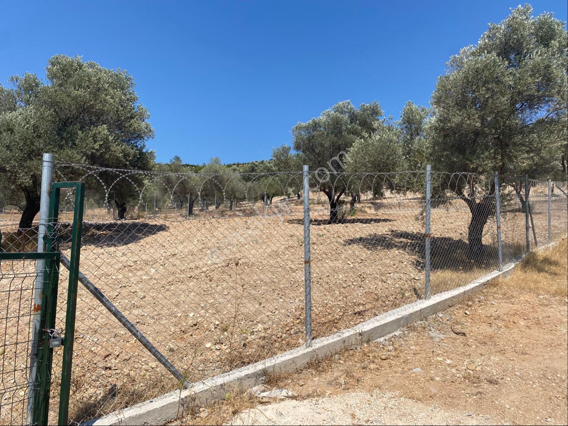 Sahibinden Kooperatif Hissesi