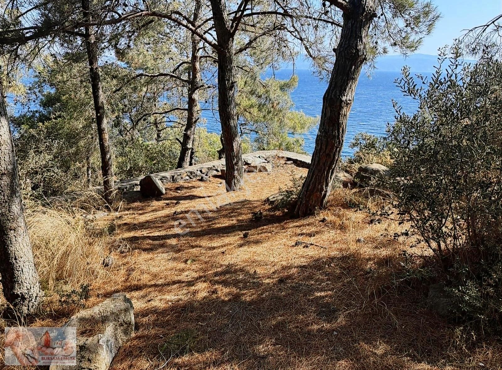 Kumyaka'da Denize Sıfır ! 11,780 M2 - Görsel 6