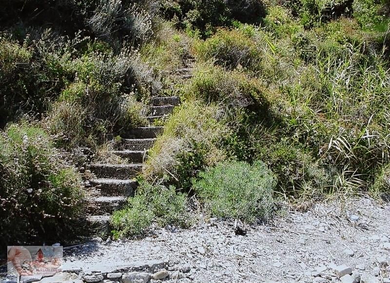 Kumyaka'da Denize Sıfır ! 11,780 M2 - Görsel 10