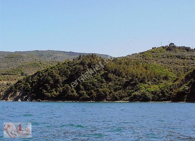 Kumyaka'da Denize Sıfır ! 11,780 M2 - Görsel 9
