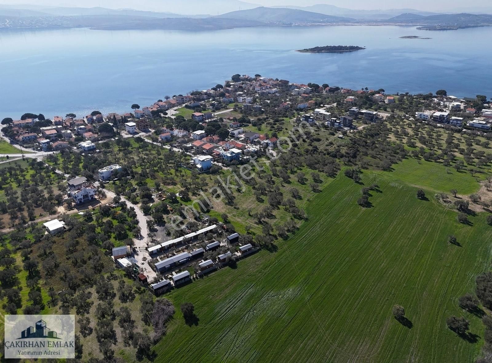 Marina Bölgesinde, Denize, Göle Ve İmar Yakını Satılık Zeytinlik - Görsel 5