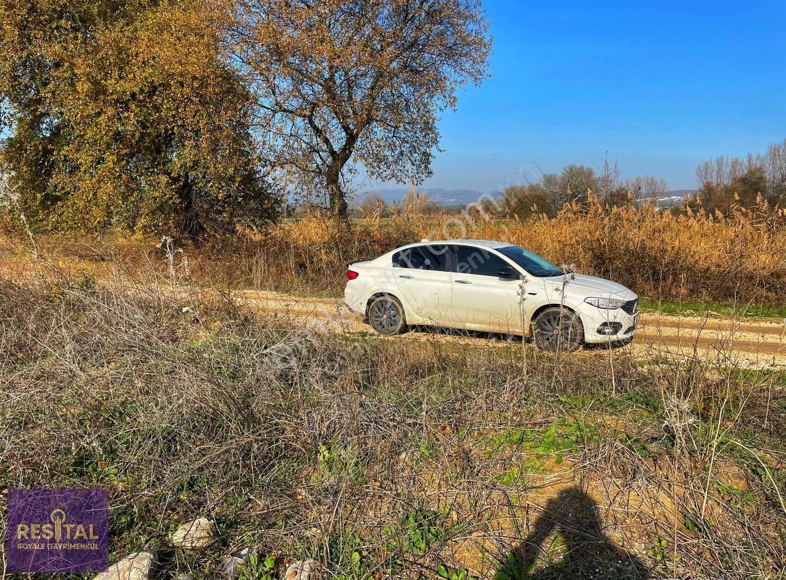 Yolçatı Çok Uygun Acil Satılık Tarla