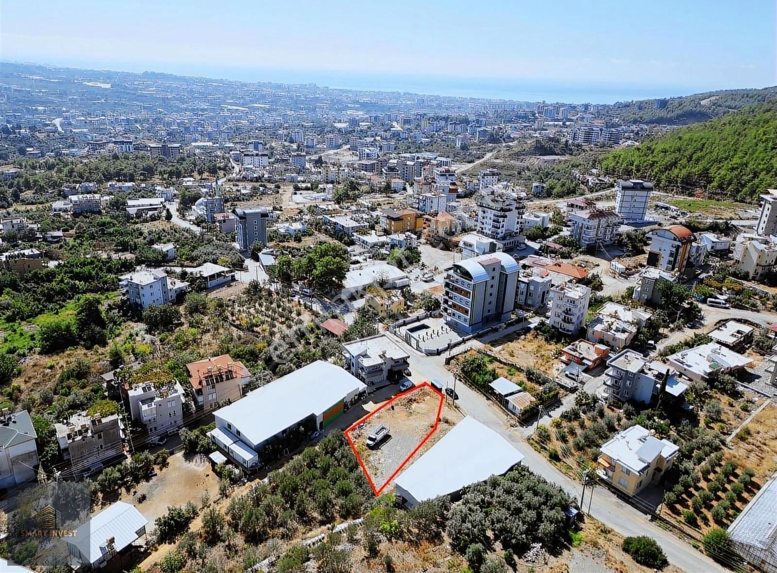Çıpalklıda Satılık 901 M2 Müstakil Parsel Asfalt Yola Cephe - Görsel 4