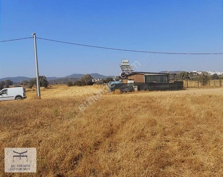 Bodrum Satılık Müstakil 3 Bin 850 M2 Tek Tapu Arazi