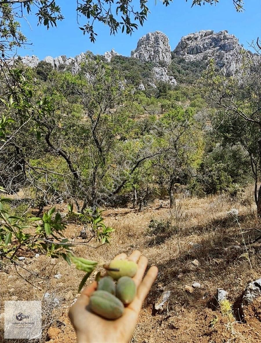 Satılık Yatırımlık Teraslı Arazi -bademlik , Zeytinlik - Görsel 3