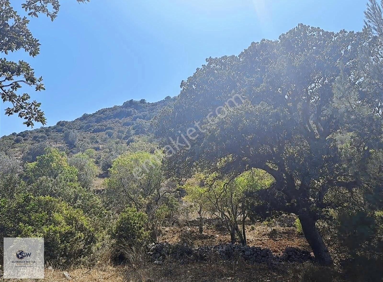 Satılık Yatırımlık Teraslı Arazi -bademlik , Zeytinlik