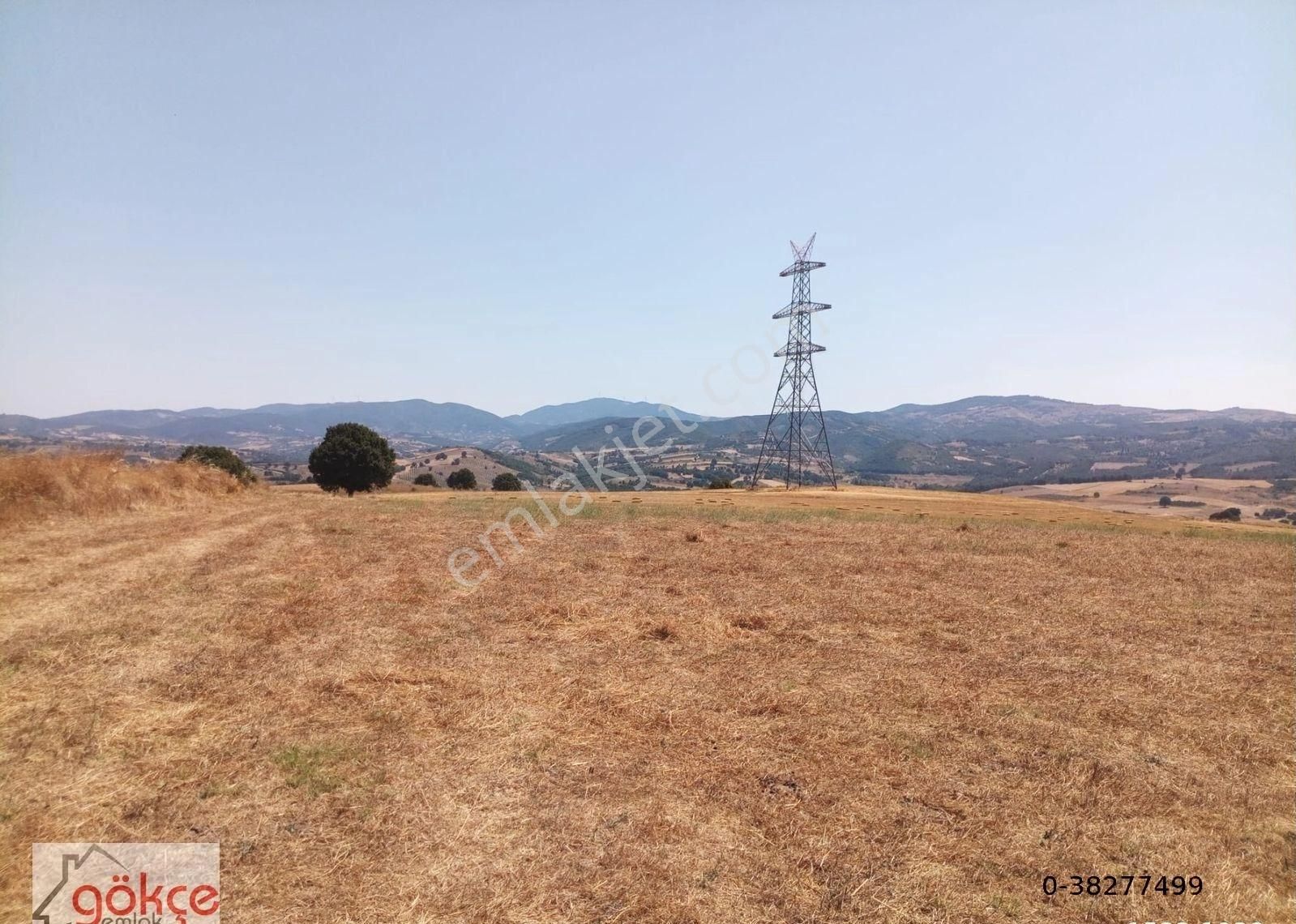 Gökçe'den Kızderbent'te Yolu Olan Dümdüz Tarla