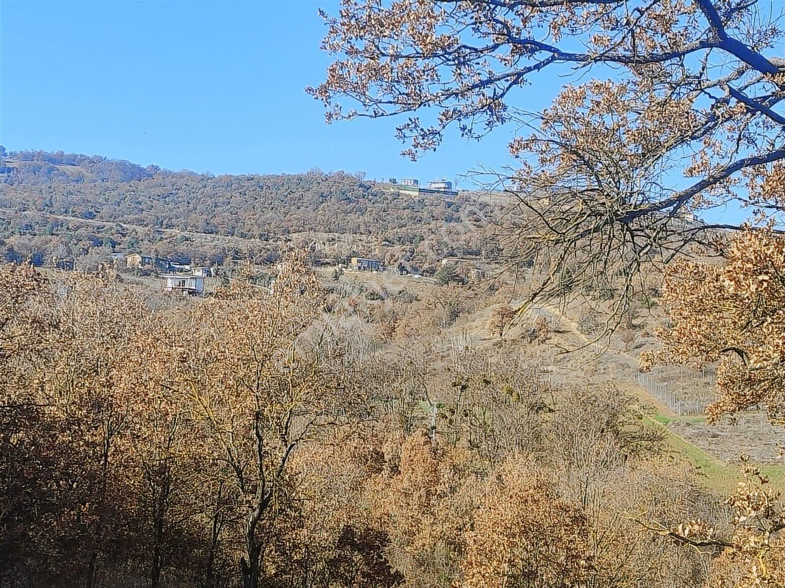 Yenişehir Koyunhisar Da Satılık 400 M2 Hobi Bahçesi