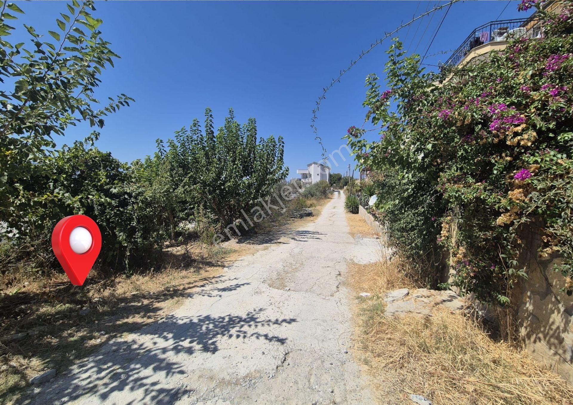 Aydın Kuşadası Soğucak Satılık İmarlı Arsa Denize 3 Km - Görsel 11