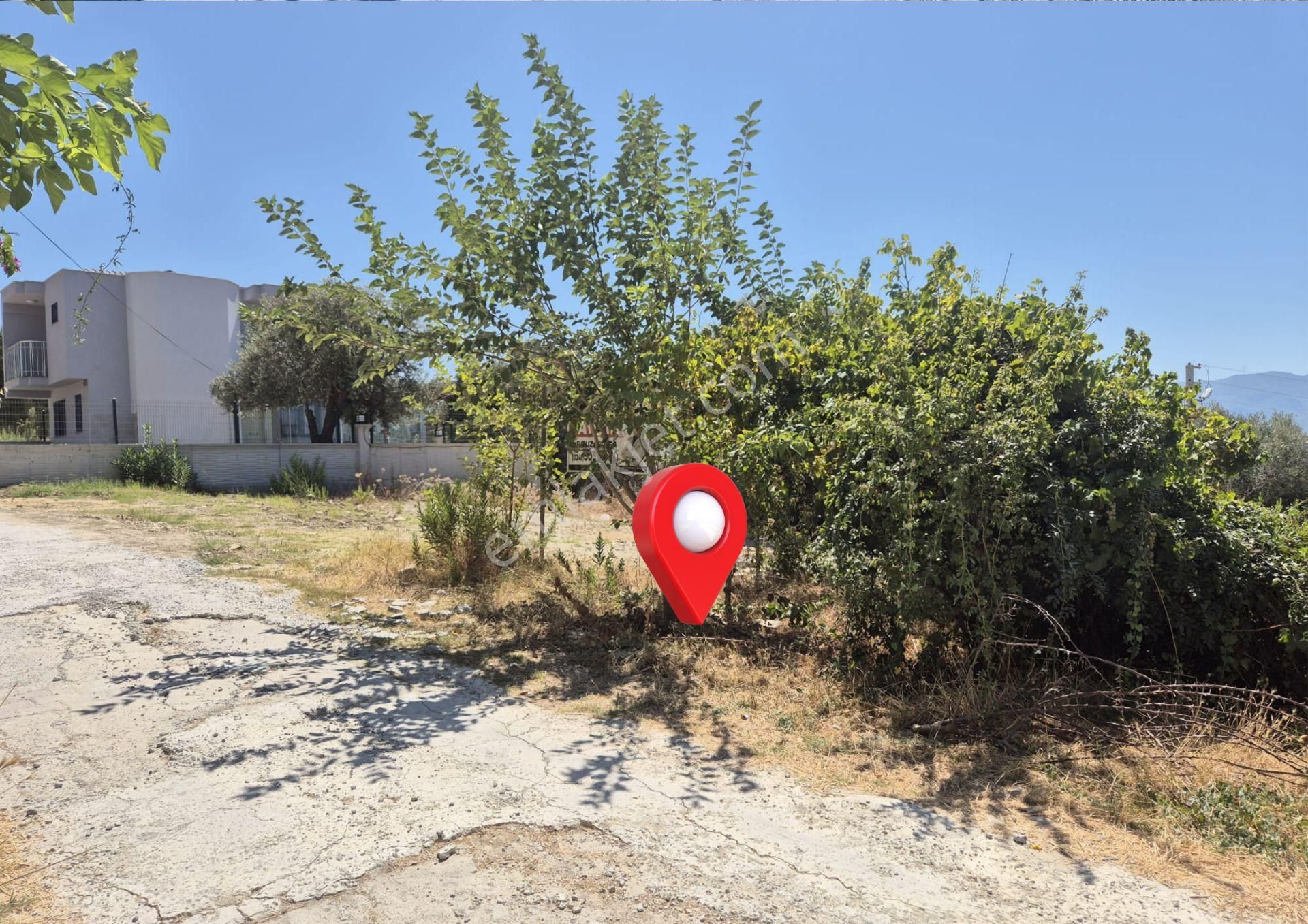 Aydın Kuşadası Soğucak Satılık İmarlı Arsa Denize 3 Km - Görsel 12