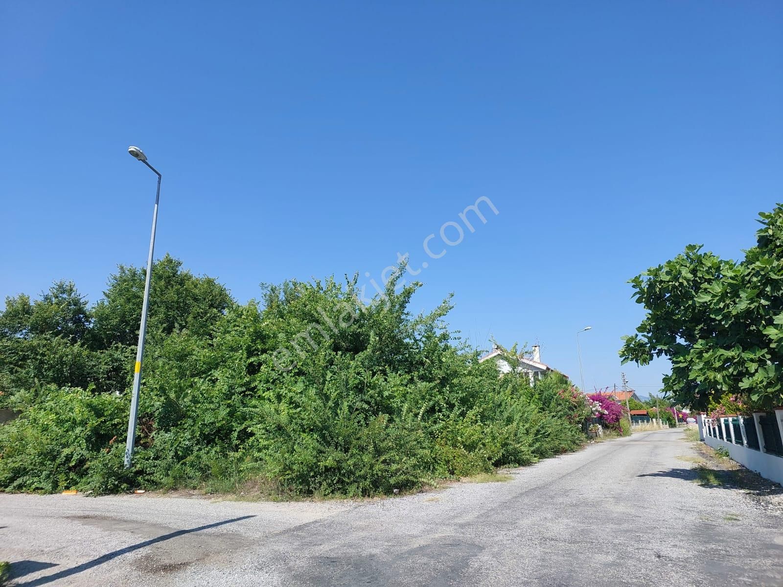 Dalyan Merkezde 500 M2 Müstakil Kelepir Arsa Satılık - Görsel 4