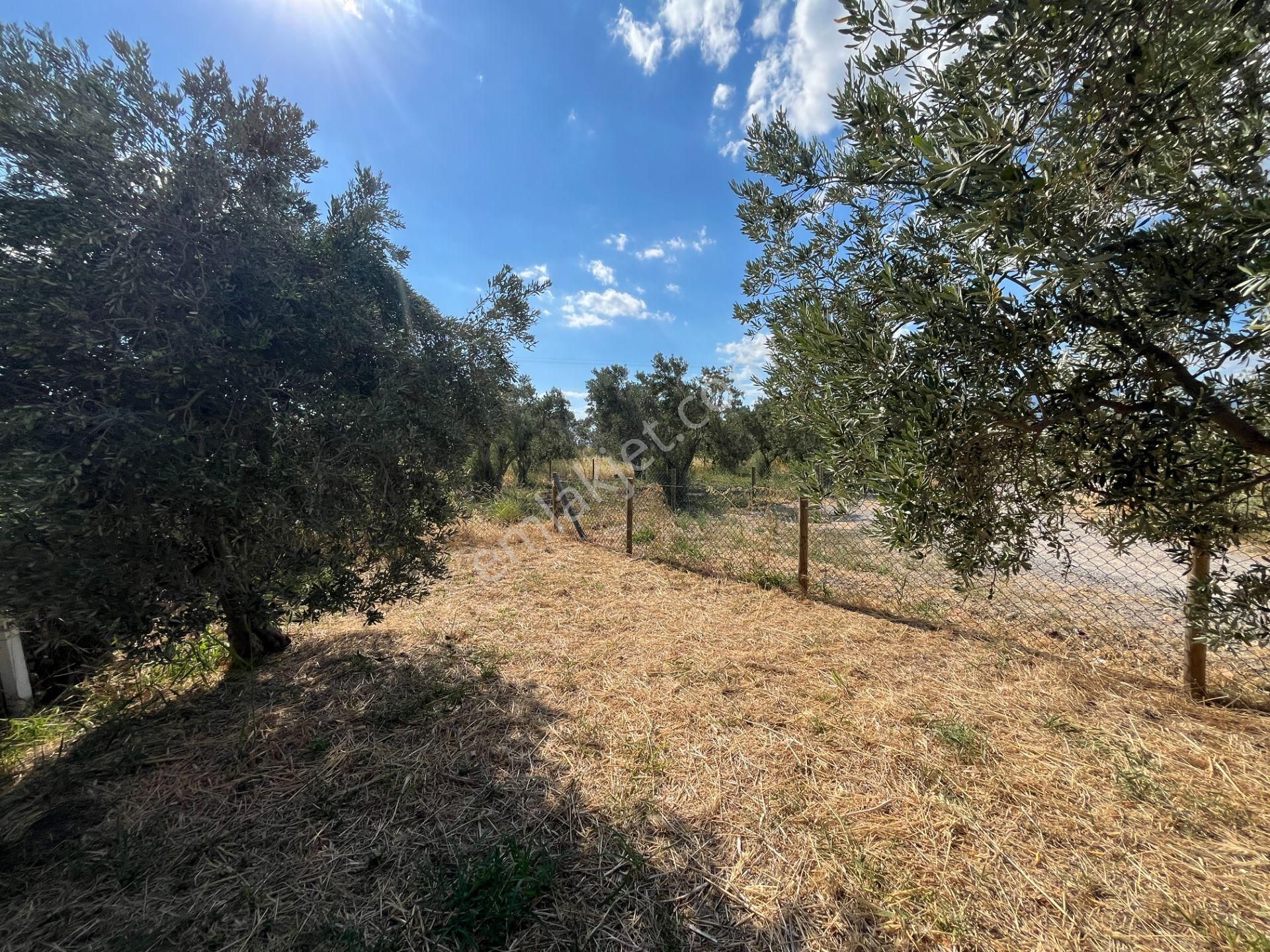Yatırımlık Hobi Bahçesi ! 457 M² Edremite 10 Dakika - Görsel 11
