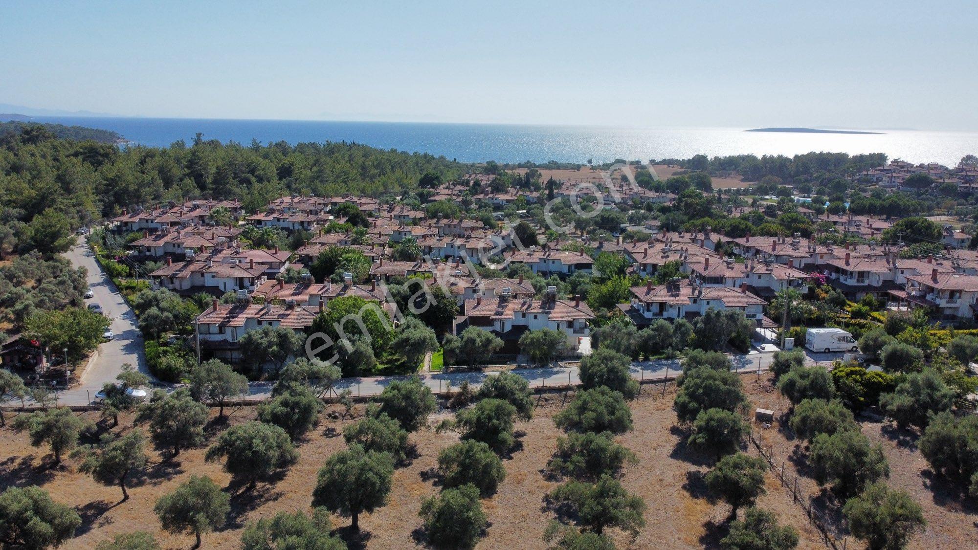 Denize 600 Metre İmara Yakın Bölgede 10 Dönüm Zeytinlik