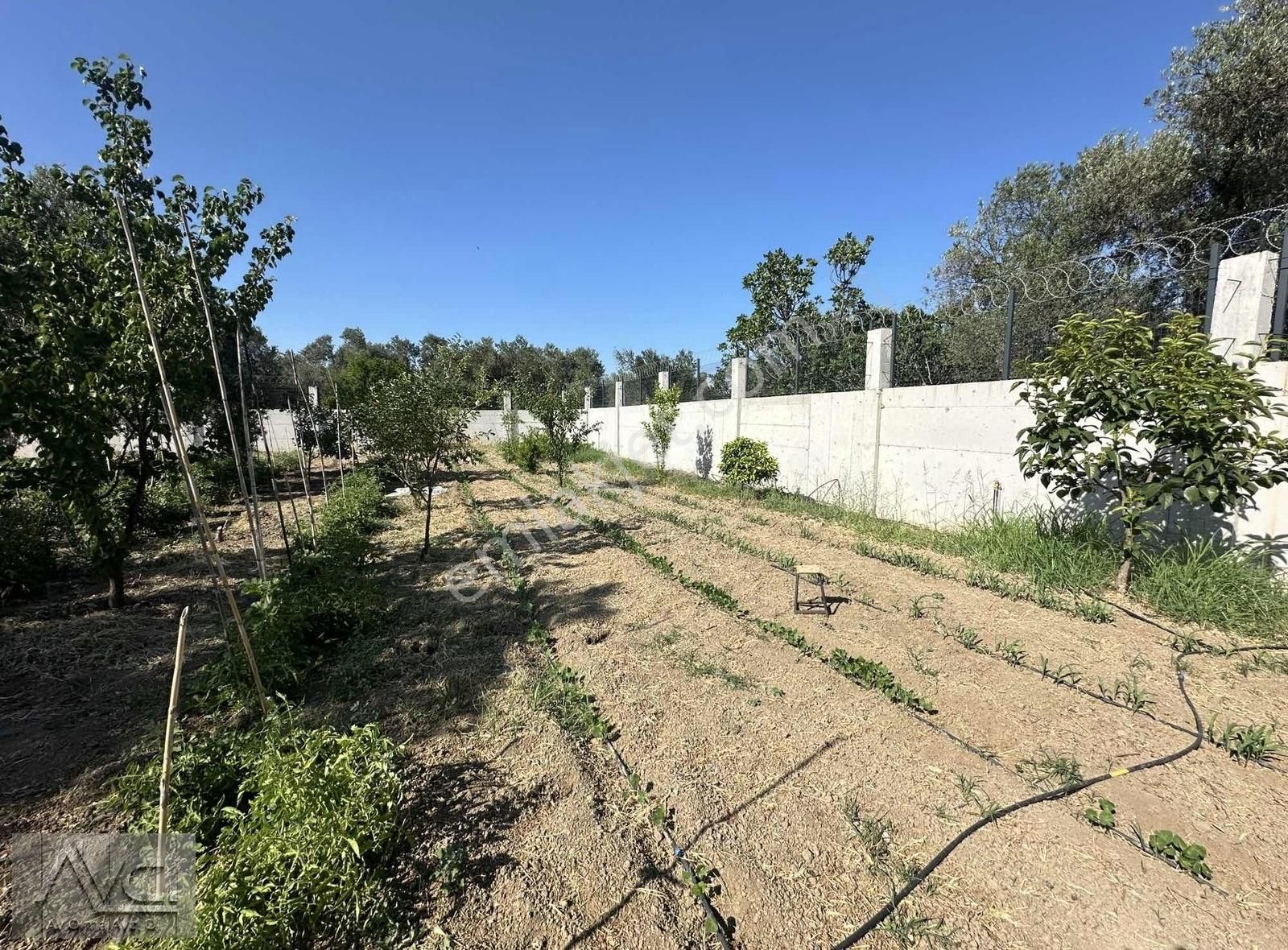 Avcı'dan Edremit 3279m2 Arsa İçinde Malikane - Görsel 20