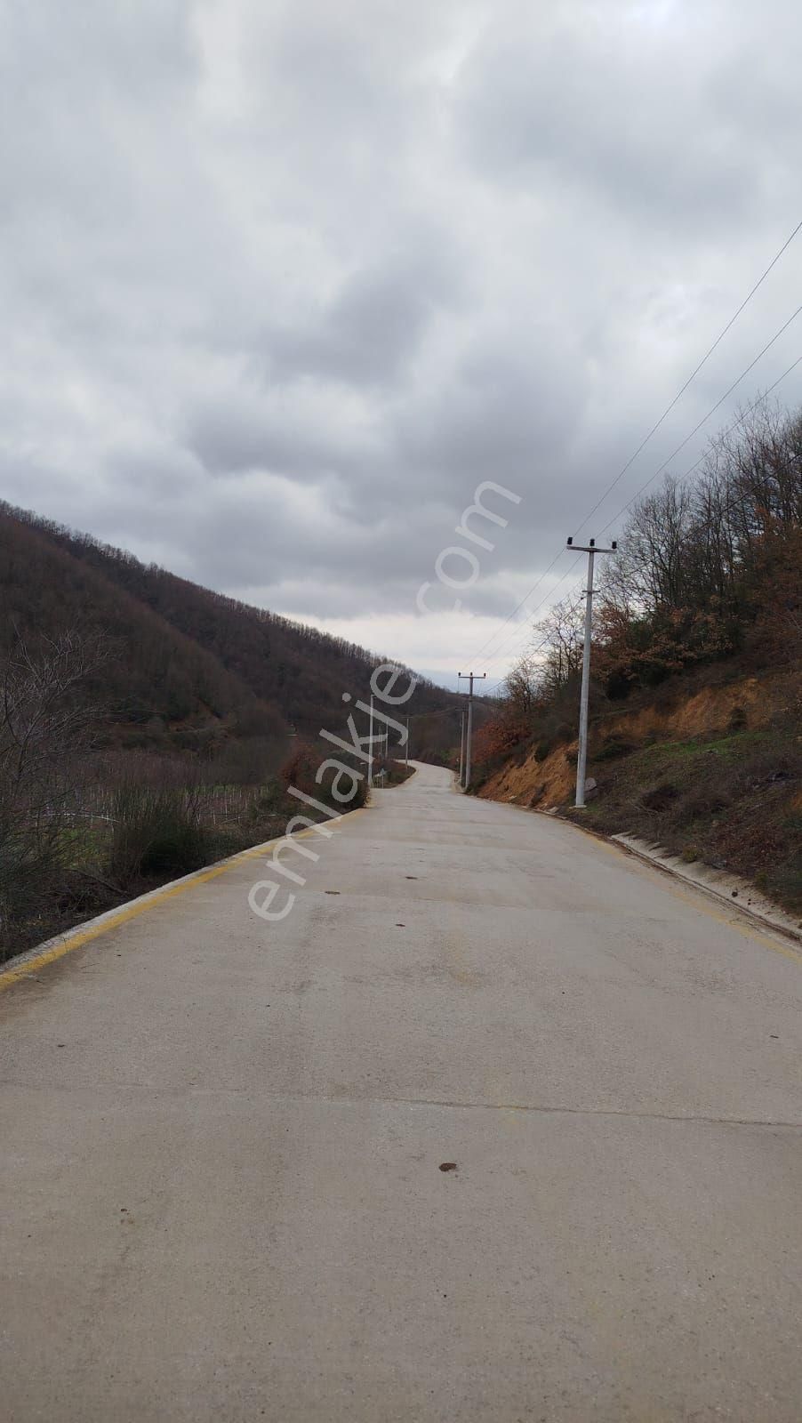 Akcat Cadde Üstü