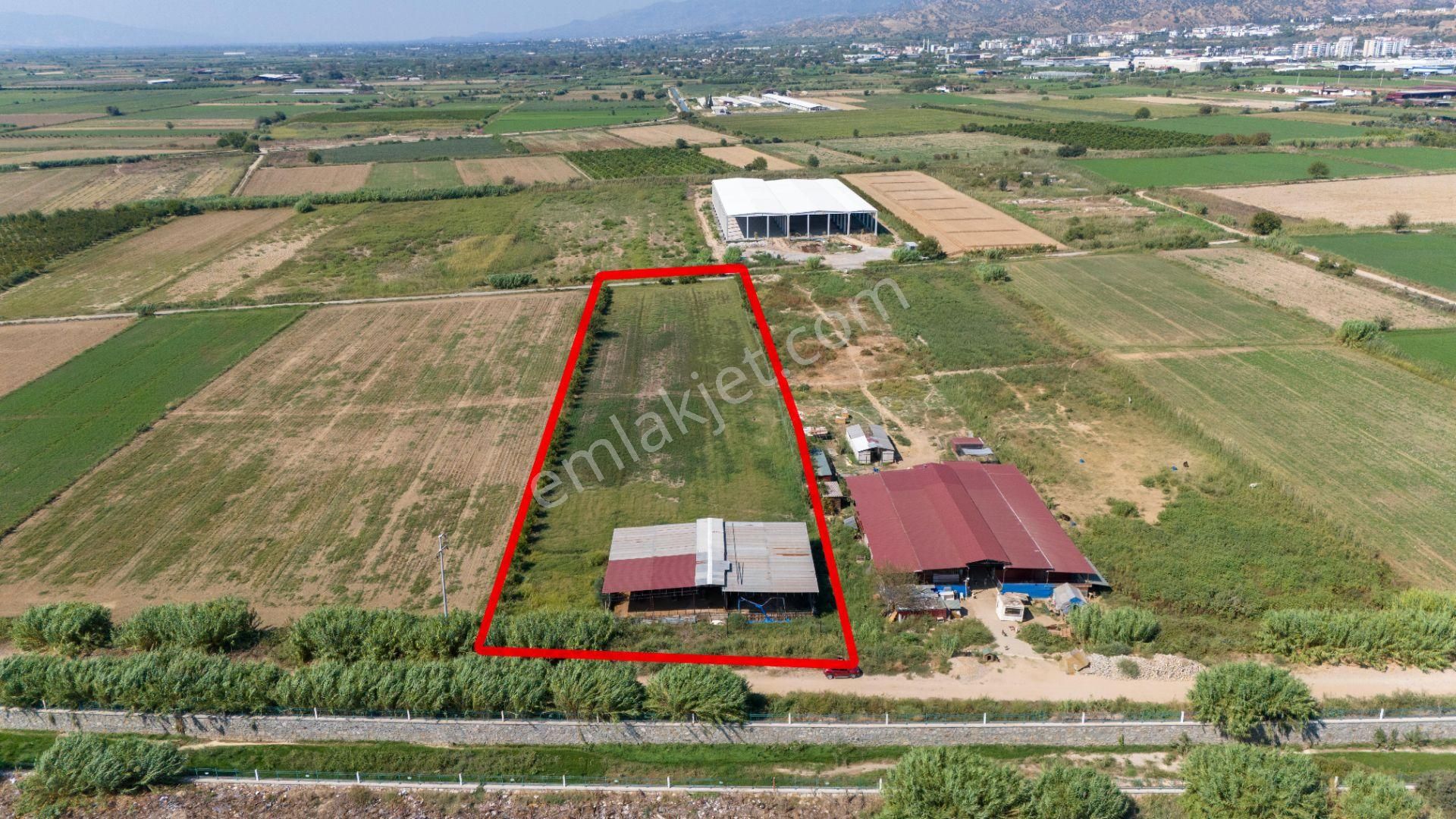 Dallıca Mahallesinde Satılık 8.564 M² Tarla Ve Besihanesi