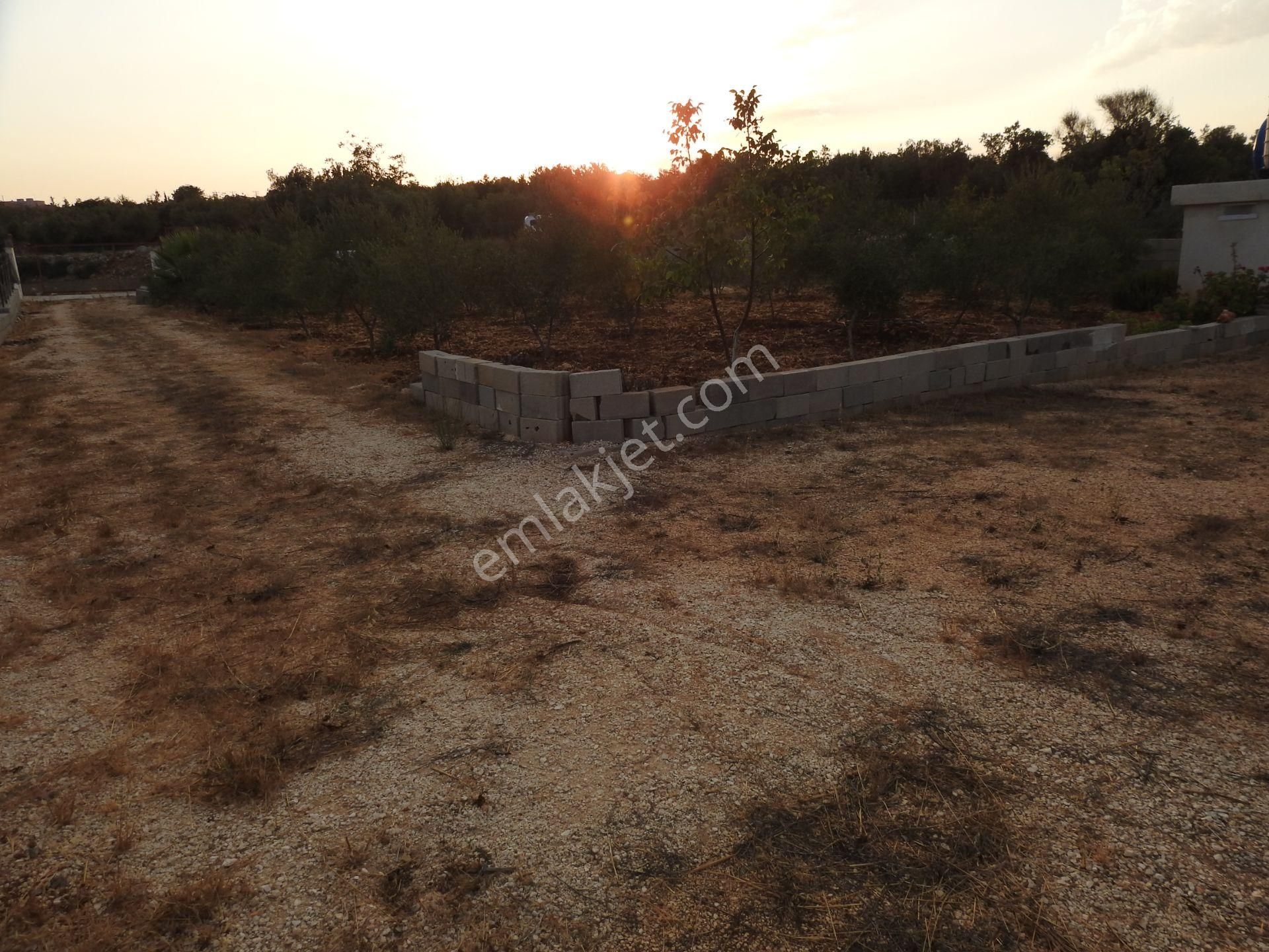 Silifke Hüseyinler De Deniz Manzalı Satılık 1088m2 Tarla!!! - Görsel 13