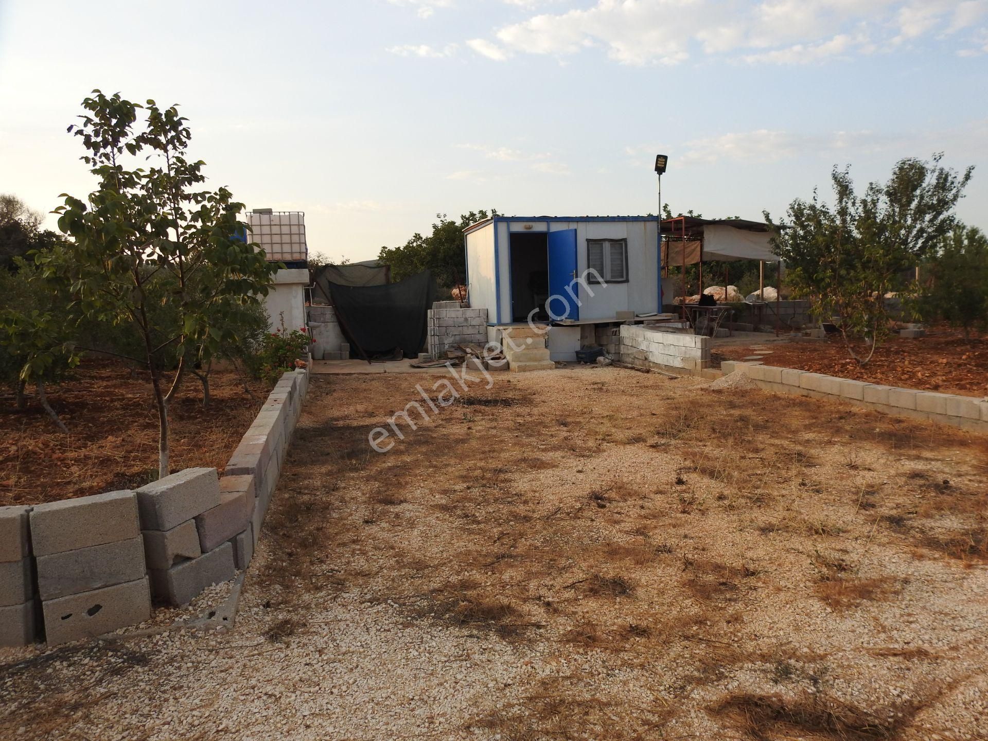 Silifke Hüseyinler De Deniz Manzalı Satılık 1088m2 Tarla!!! - Görsel 3