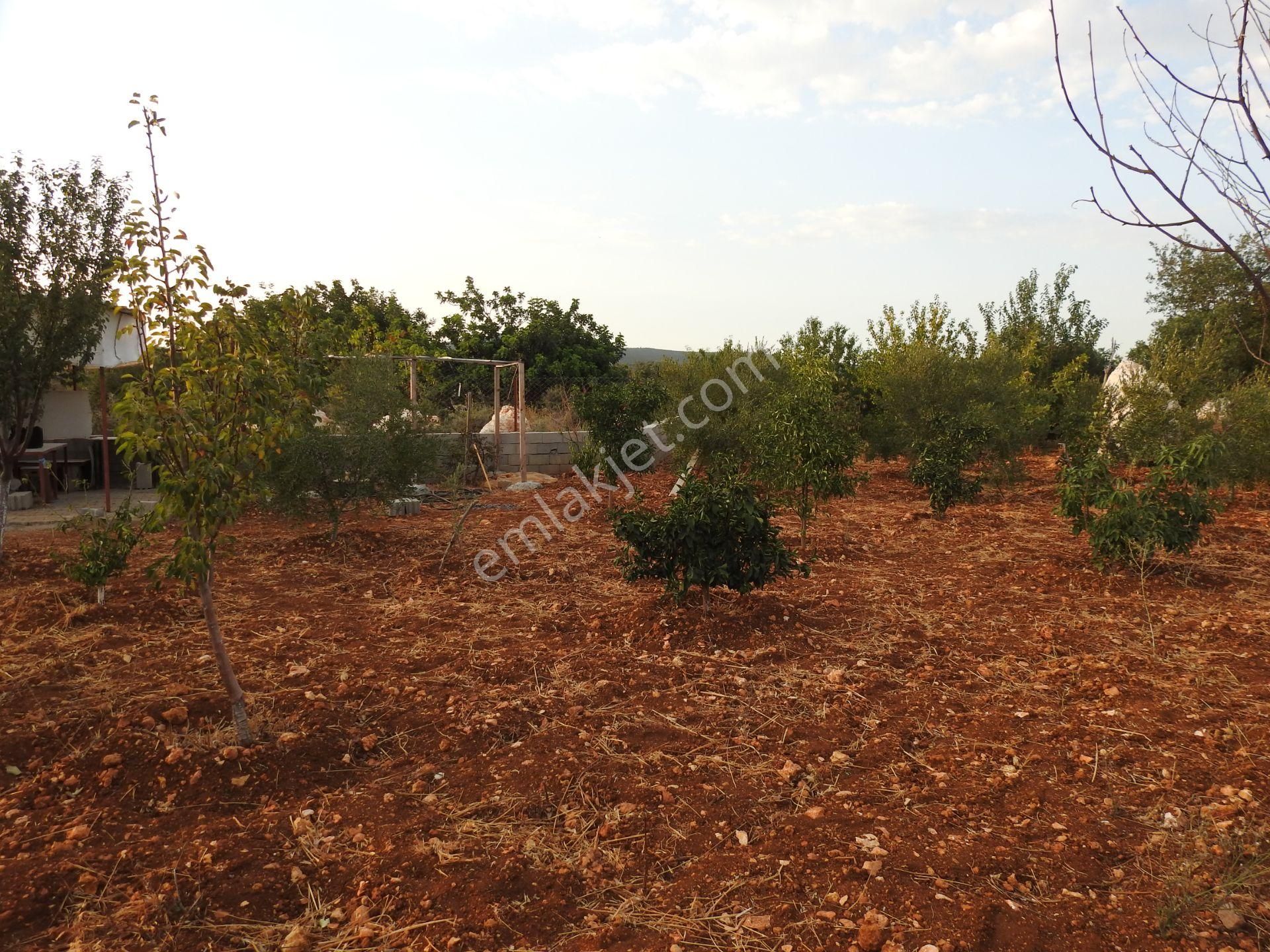 Silifke Hüseyinler De Deniz Manzalı Satılık 1088m2 Tarla!!! - Görsel 7