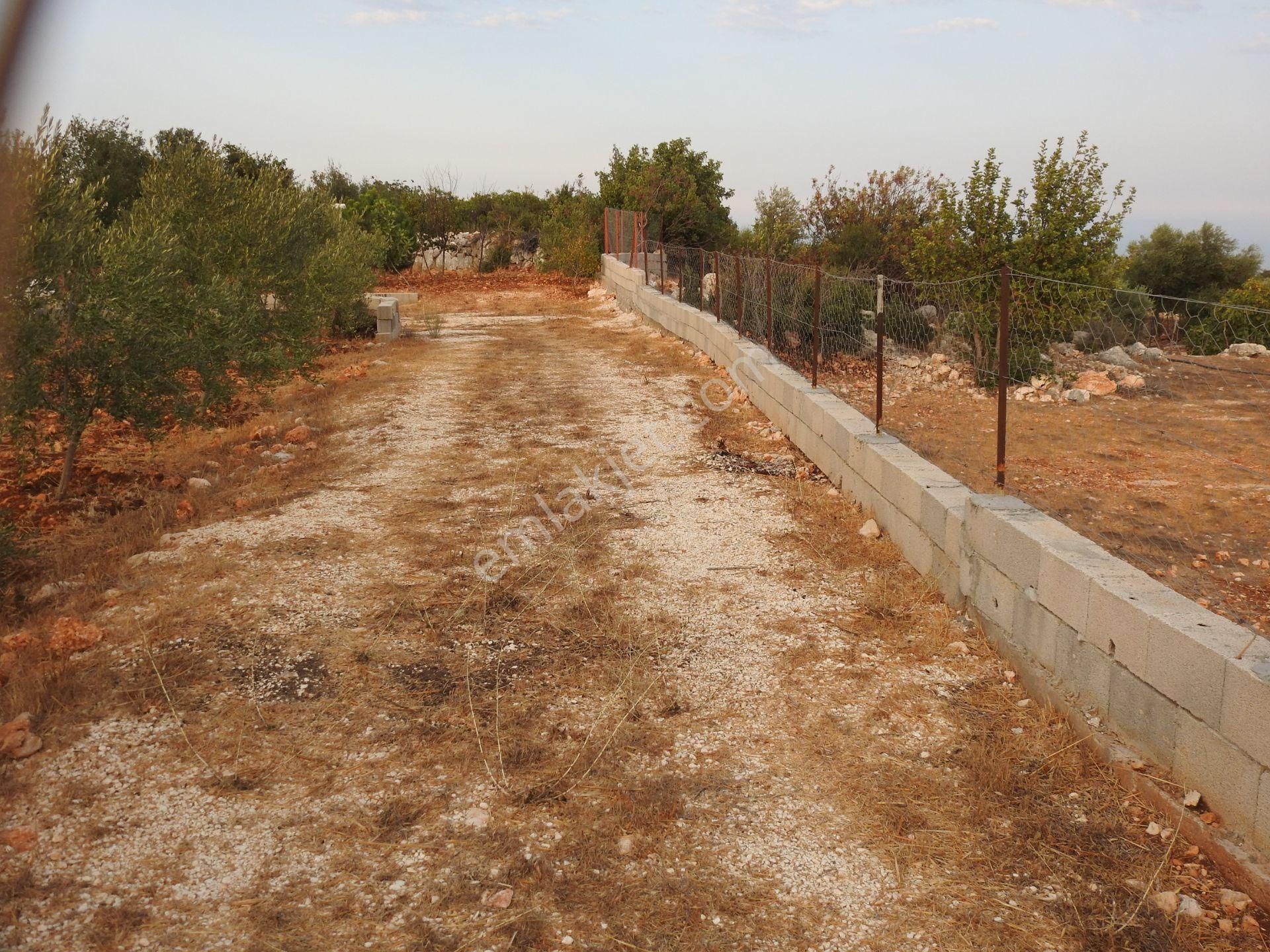 Silifke Hüseyinler De Deniz Manzalı Satılık 1088m2 Tarla!!! - Görsel 19