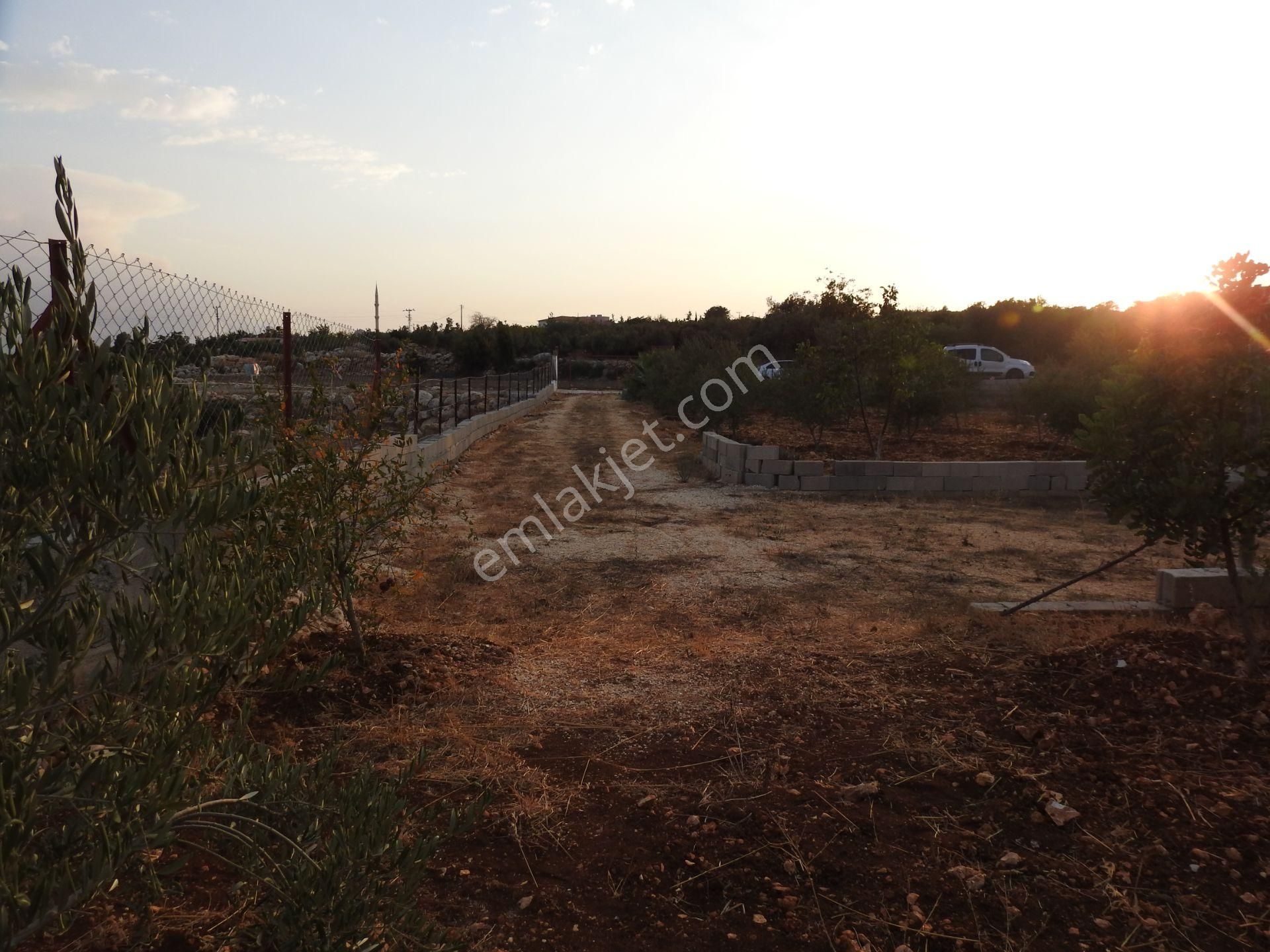 Silifke Hüseyinler De Deniz Manzalı Satılık 1088m2 Tarla!!! - Görsel 10