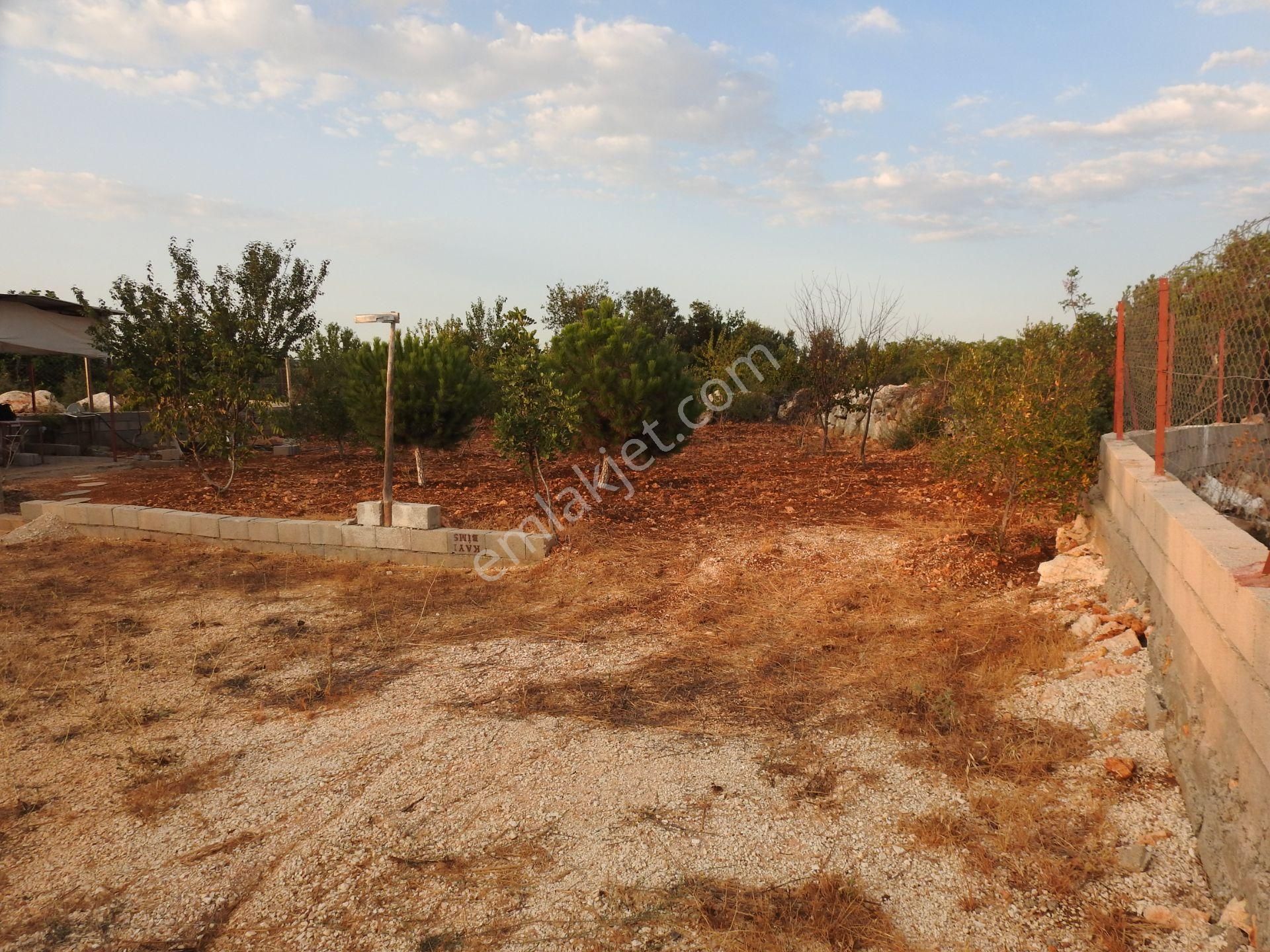 Silifke Hüseyinler De Deniz Manzalı Satılık 1088m2 Tarla!!! - Görsel 2