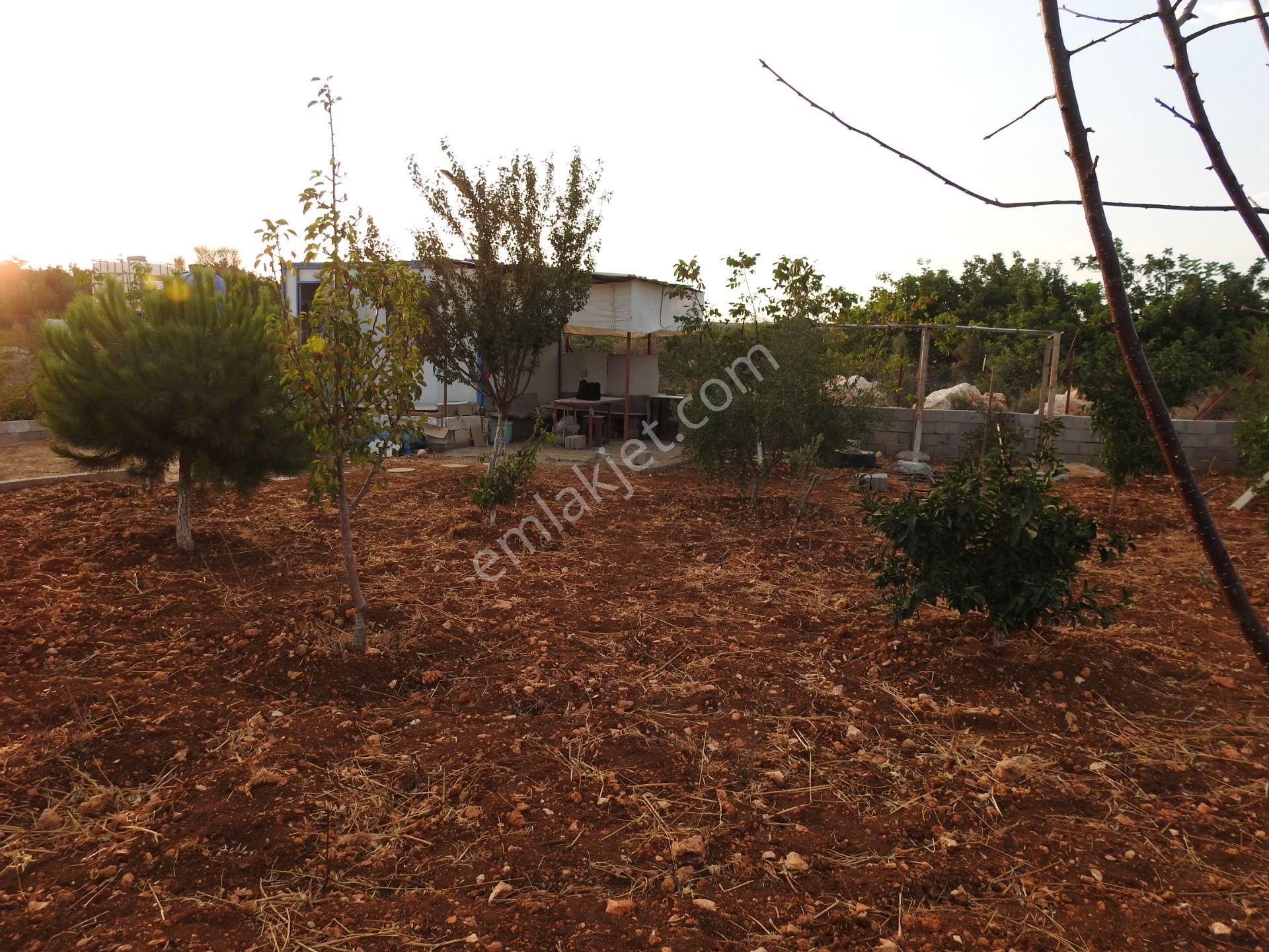 Silifke Hüseyinler De Deniz Manzalı Satılık 1088m2 Tarla!!! - Görsel 8