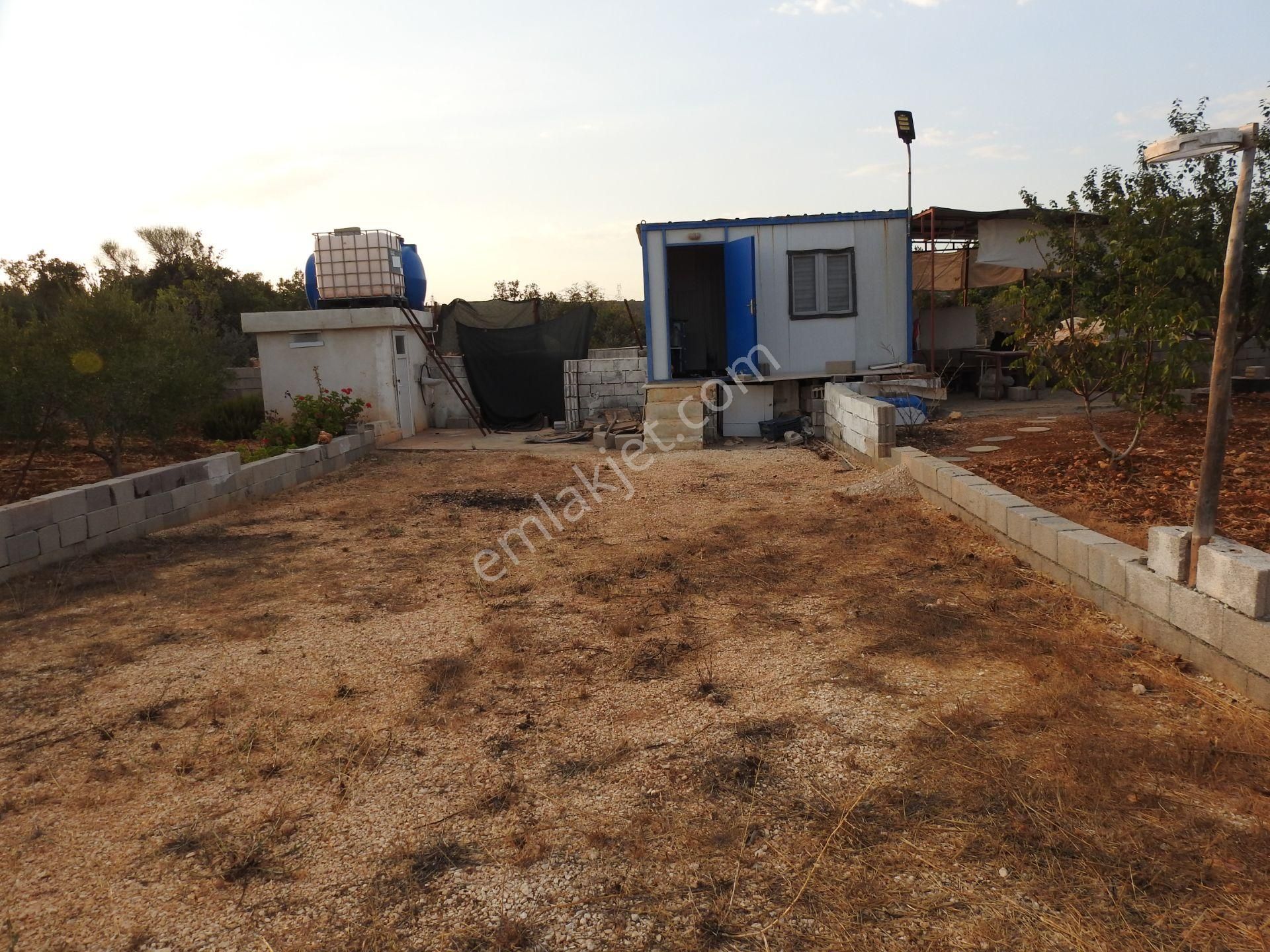 Silifke Hüseyinler De Deniz Manzalı Satılık 1088m2 Tarla!!! - Görsel 4