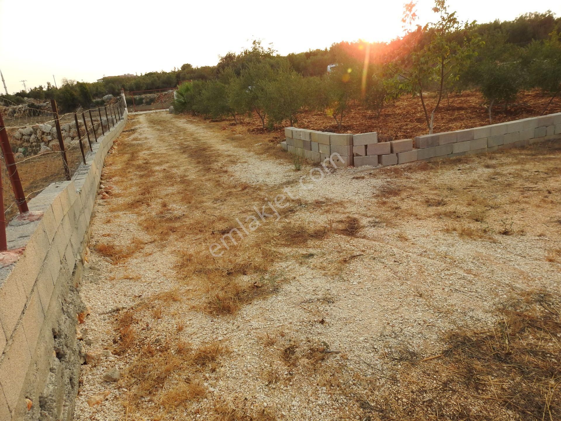 Silifke Hüseyinler De Deniz Manzalı Satılık 1088m2 Tarla!!! - Görsel 11