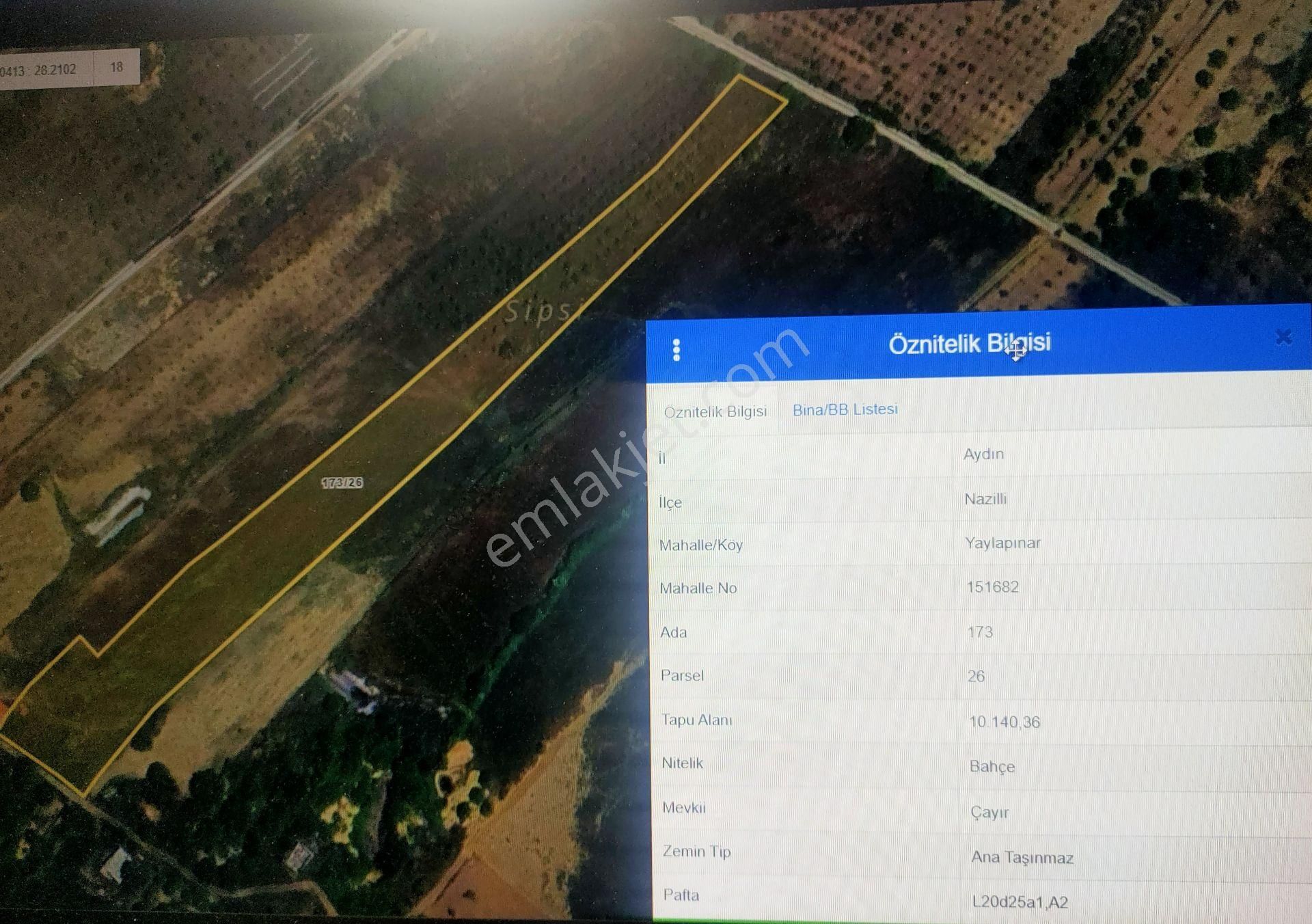 Nazilli Yaylapınar Mahallesinde Satılık Yayla Arazisi