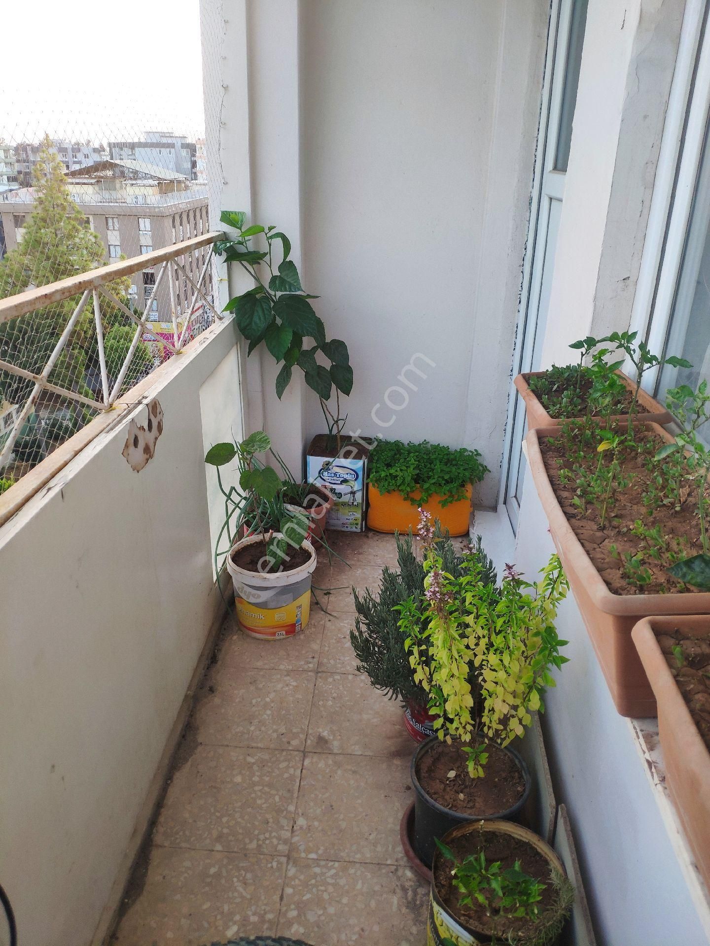 Sahibinden 3+1 Çarşı Merkezi Göbeği Yarenlik Alanında İçi Yapılı Masrafsız Daire