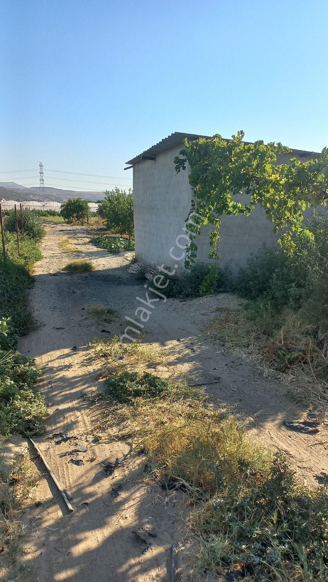 Okkalı Emlak Tan Menemen Yayla Mah. De Satılık Bahçe - Görsel 22