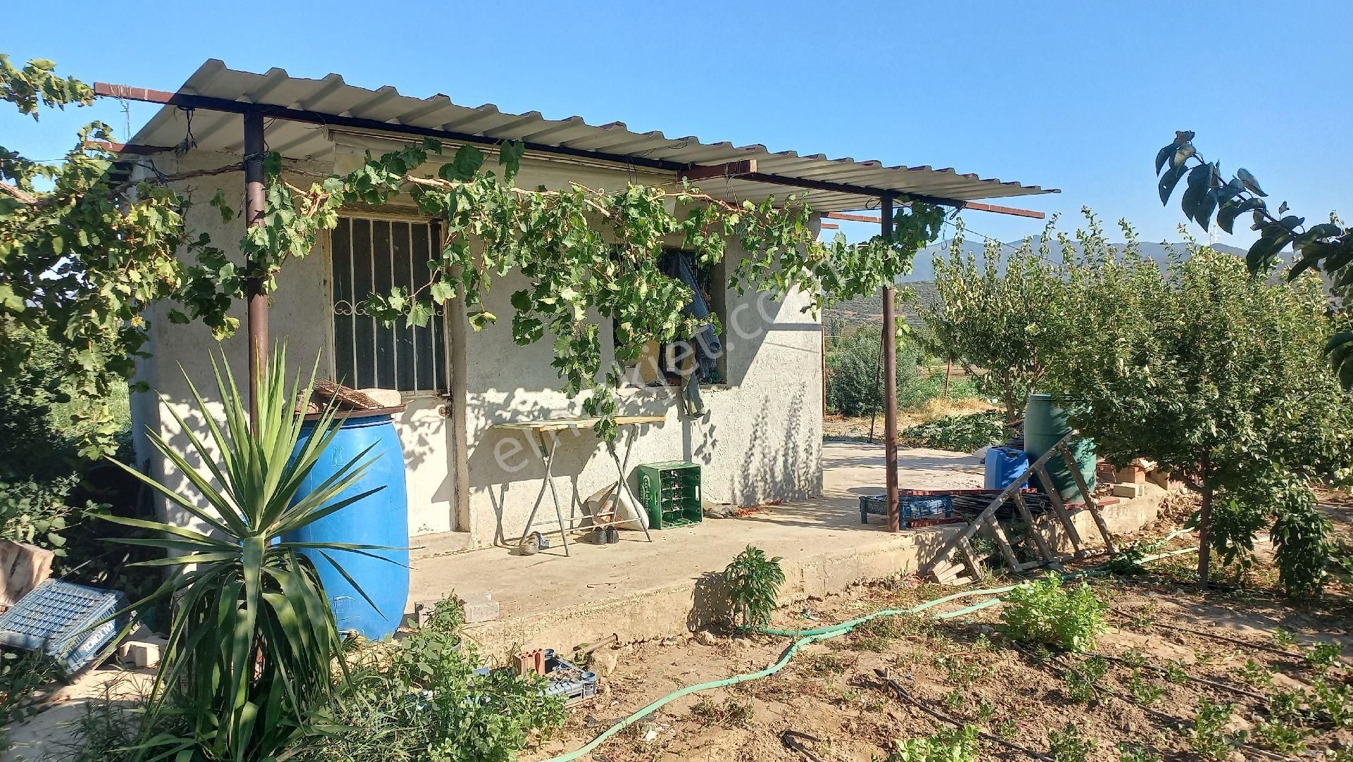 Okkalı Emlak Tan Menemen Yayla Mah. De Satılık Bahçe - Görsel 21