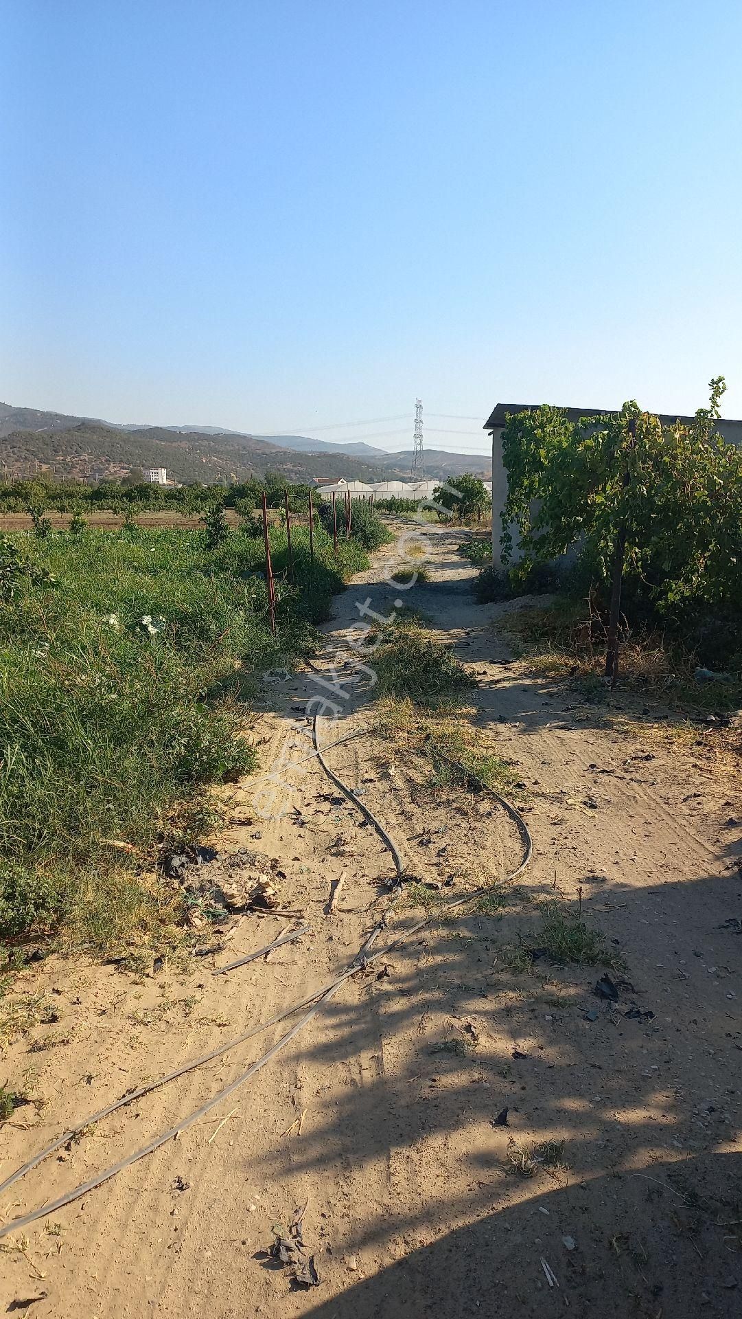 Okkalı Emlak Tan Menemen Yayla Mah. De Satılık Bahçe - Görsel 26