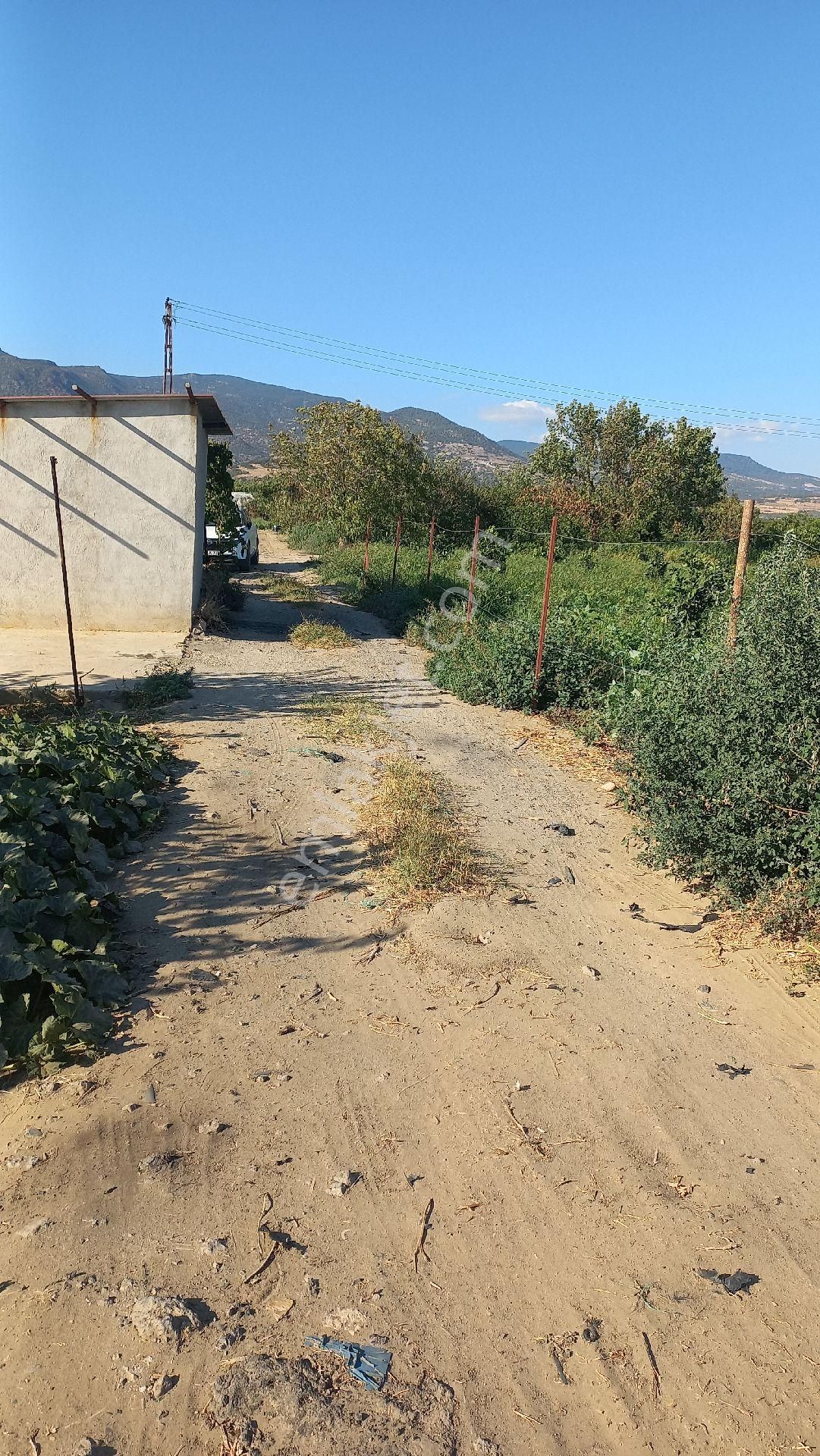 Okkalı Emlak Tan Menemen Yayla Mah. De Satılık Bahçe - Görsel 14