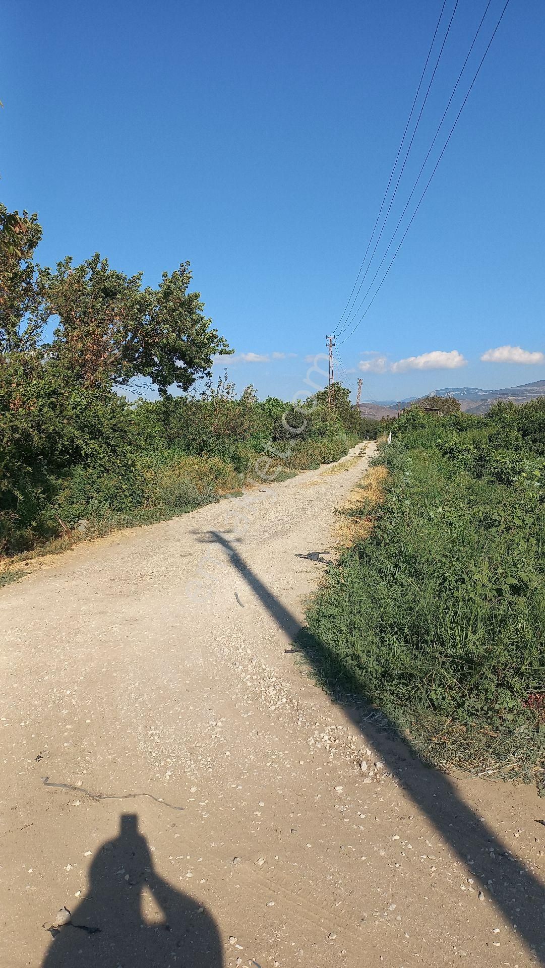 Okkalı Emlak Tan Menemen Yayla Mah. De Satılık Bahçe - Görsel 25