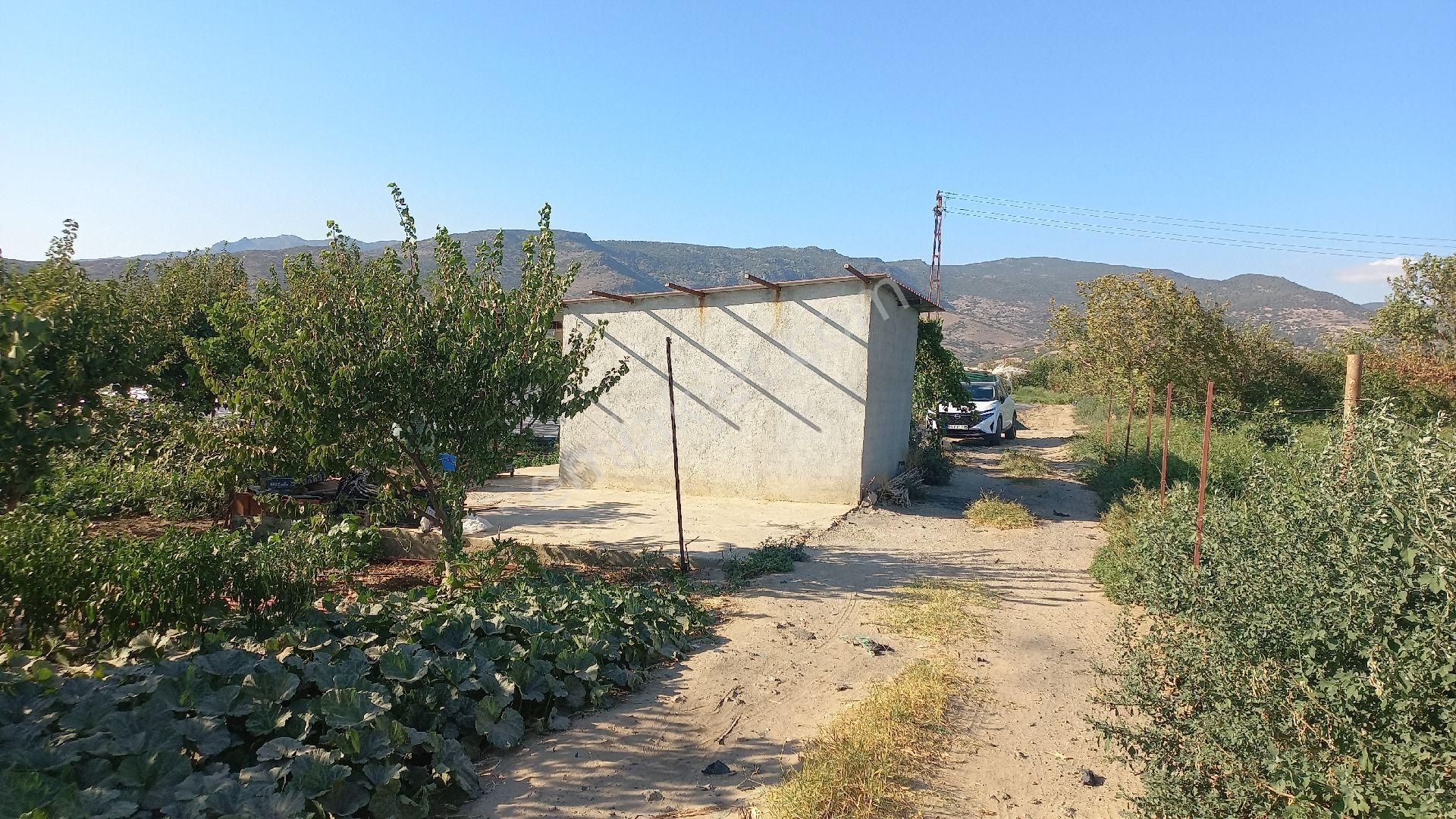 Okkalı Emlak Tan Menemen Yayla Mah. De Satılık Bahçe - Görsel 13