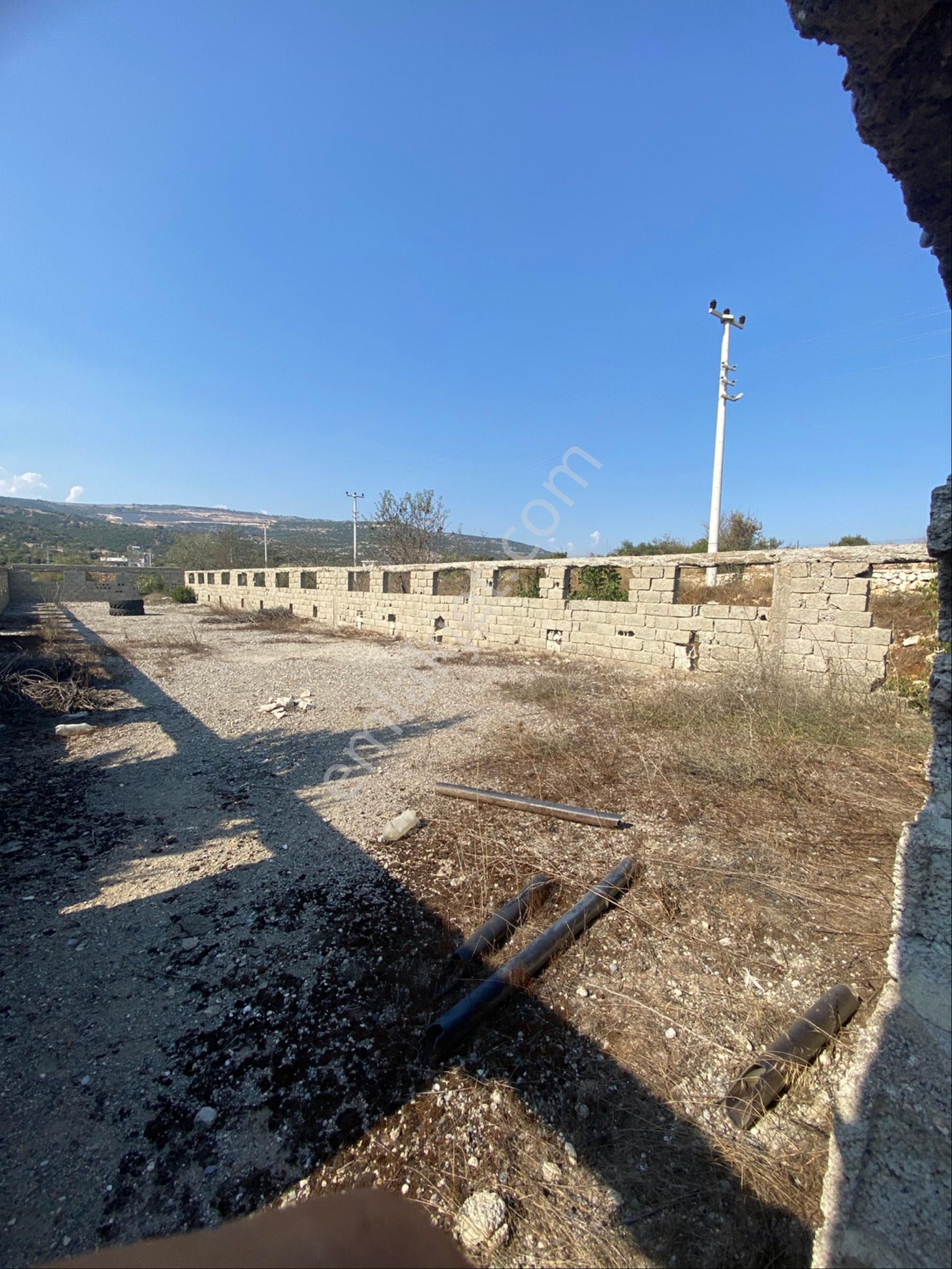 Beylice Köyünde Bulunan Yerimiz Satılıktır - Görsel 3