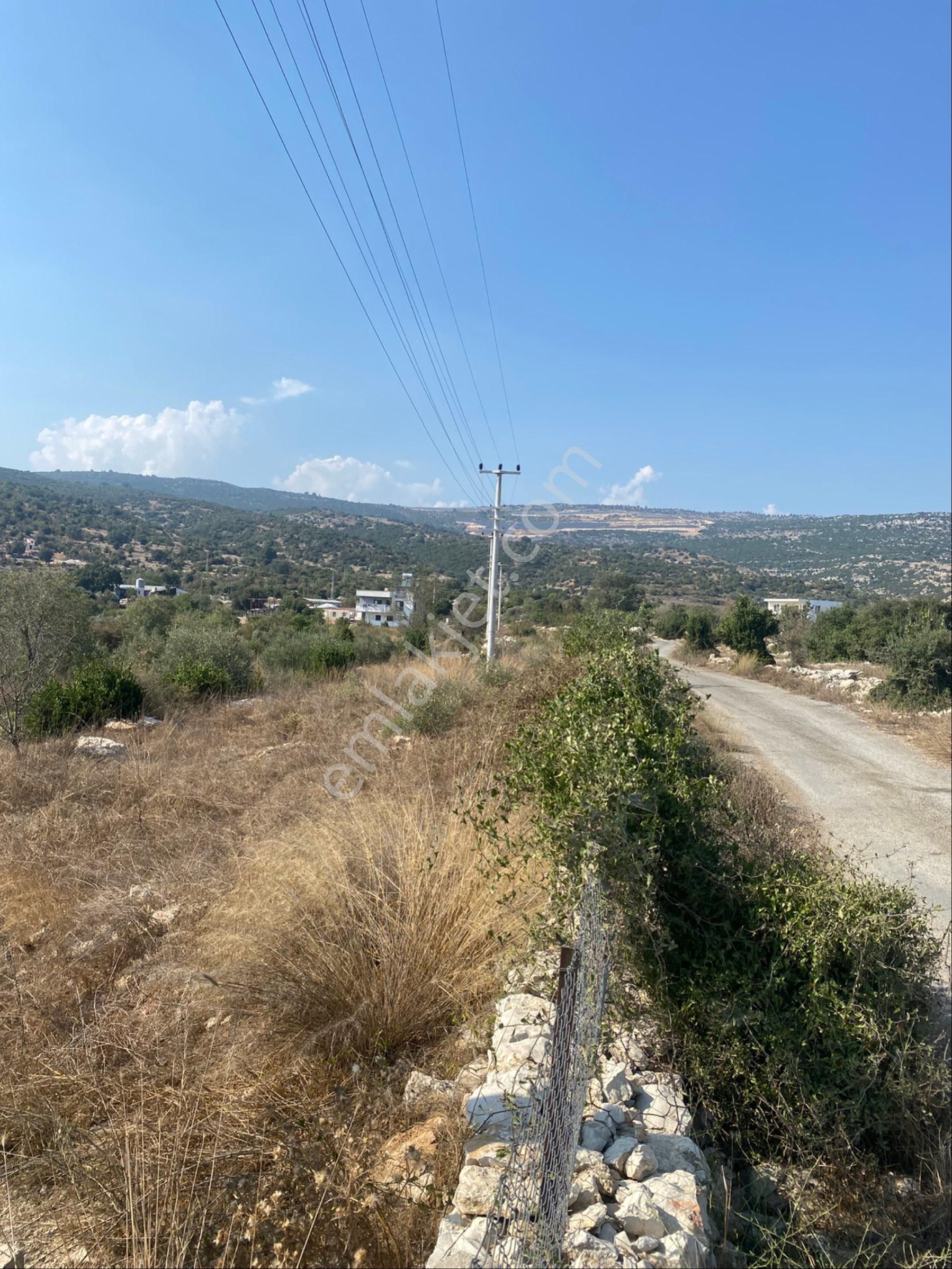 Beylice Köyünde Bulunan Yerimiz Satılıktır - Görsel 27