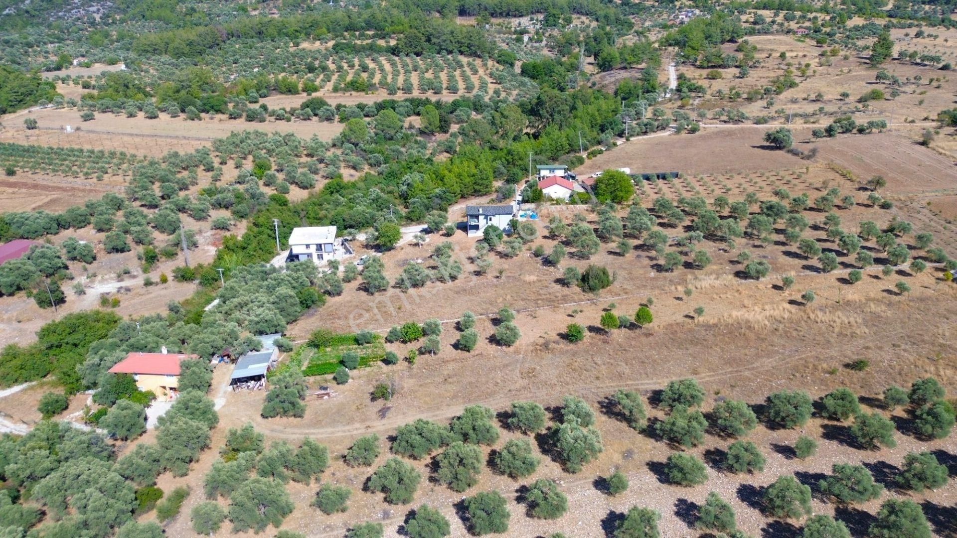 Milas Aslanyakada 3531 M² Konut İmarlı Arsa - Görsel 3