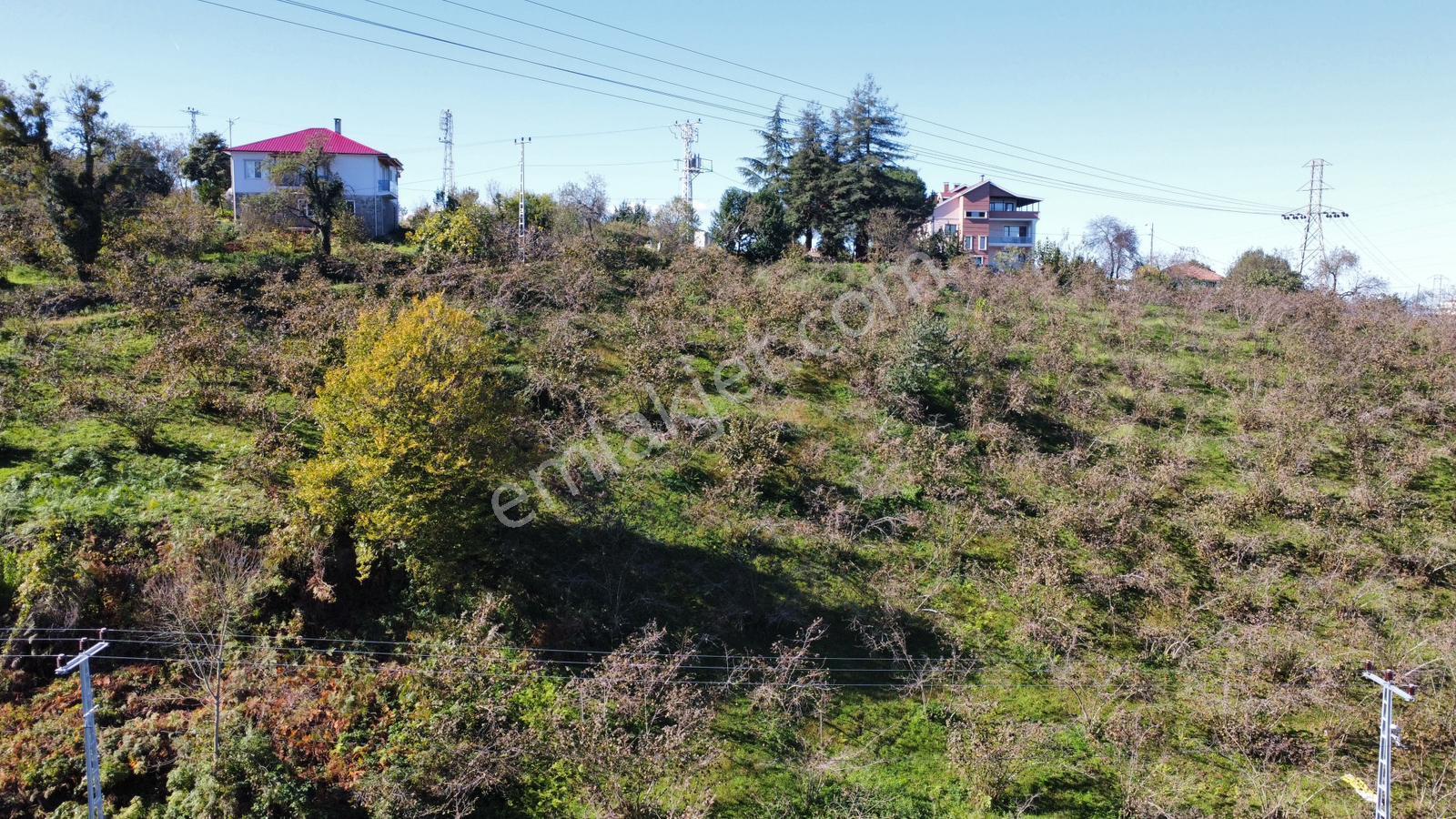 Trabzon 1.nolu Bostancıda Sosyal İmarlı Arsa Takaslı - Görsel 6