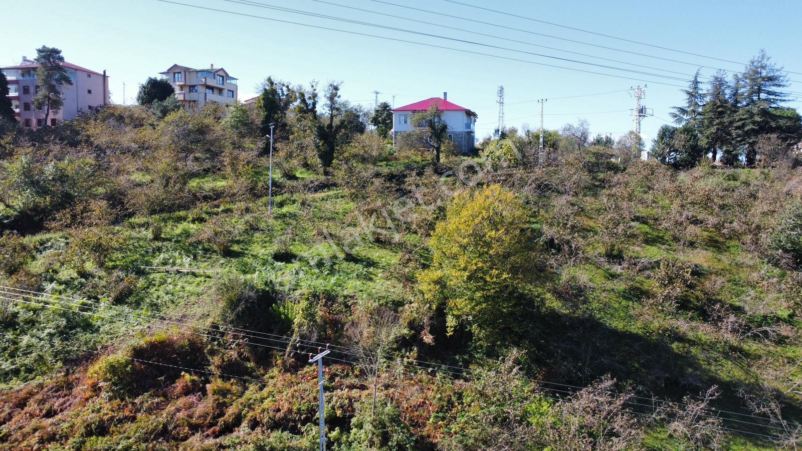 Trabzon 1.nolu Bostancıda Sosyal İmarlı Arsa Takaslı - Görsel 15
