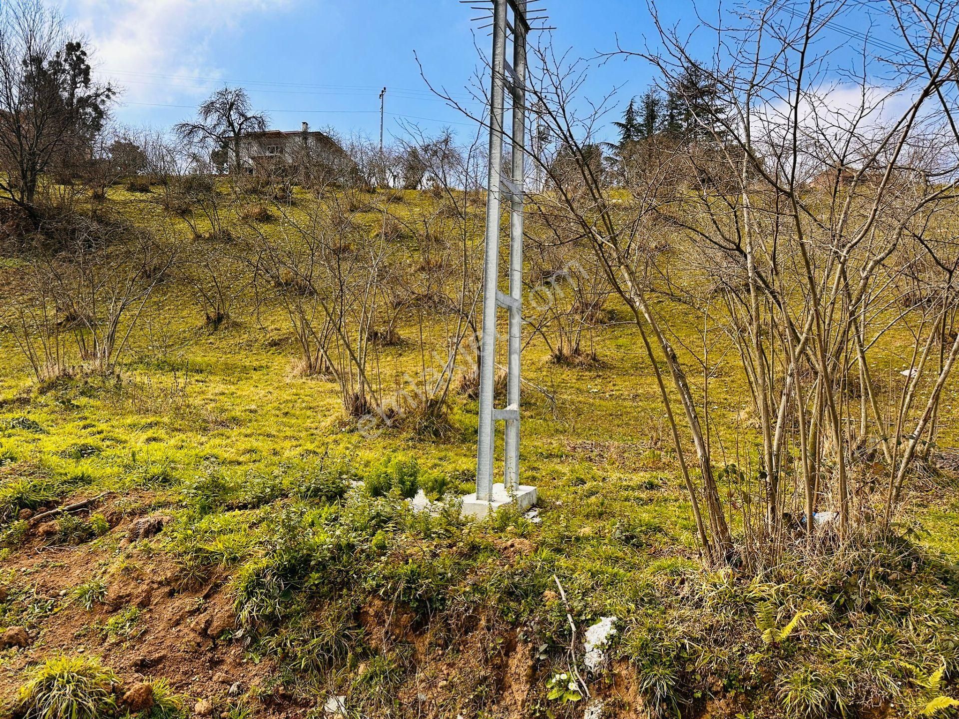 Trabzon 1.nolu Bostancıda Sosyal İmarlı Arsa Takaslı