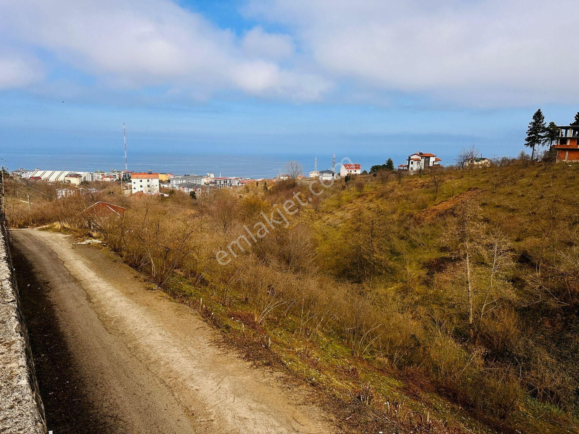 Trabzon 1.nolu Bostancıda Satılık Arsa