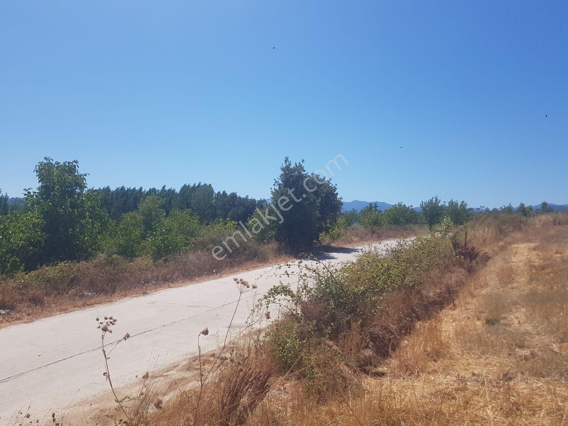 Kazdağları Hıdırlar Anayol Üzeri - Görsel 4
