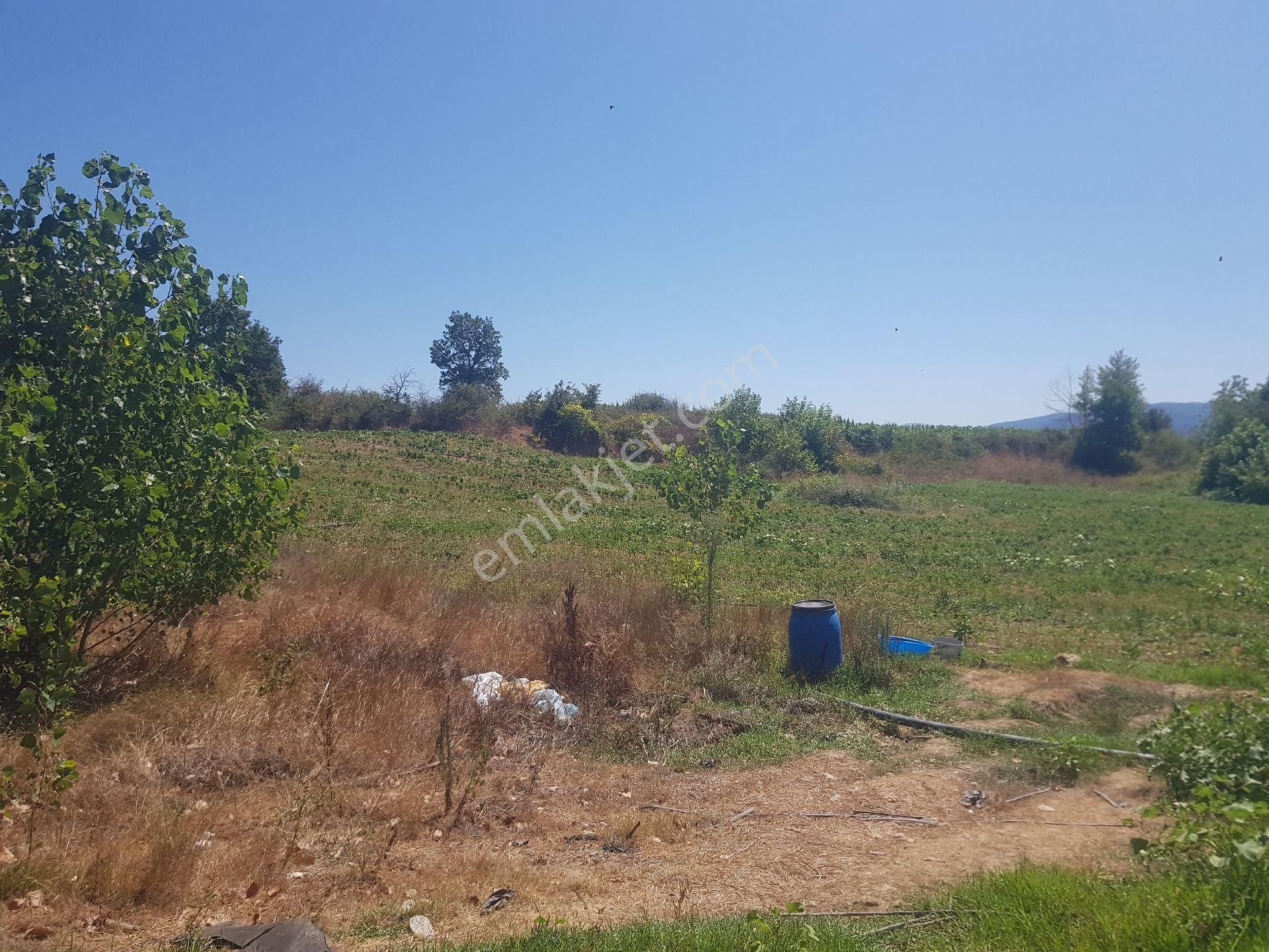 Kazdağları Hıdırlar Anayola Sıfır Dere Kenarı - Görsel 2