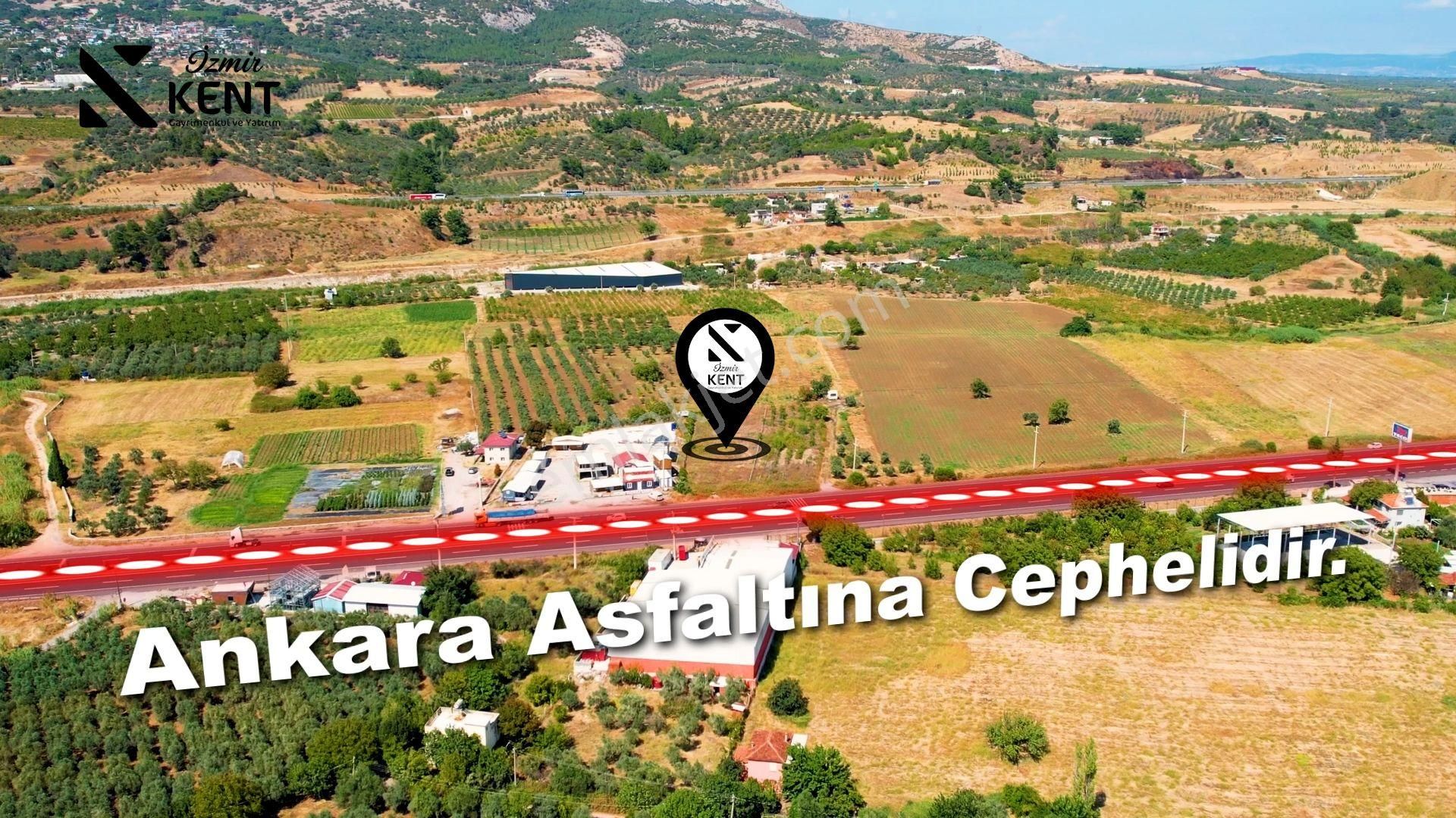 Kemalpaşa Armutlu 85.yıl Ankara Asfaltına Cepheli Satılık 1408 M2 Bahçe - Görsel 5