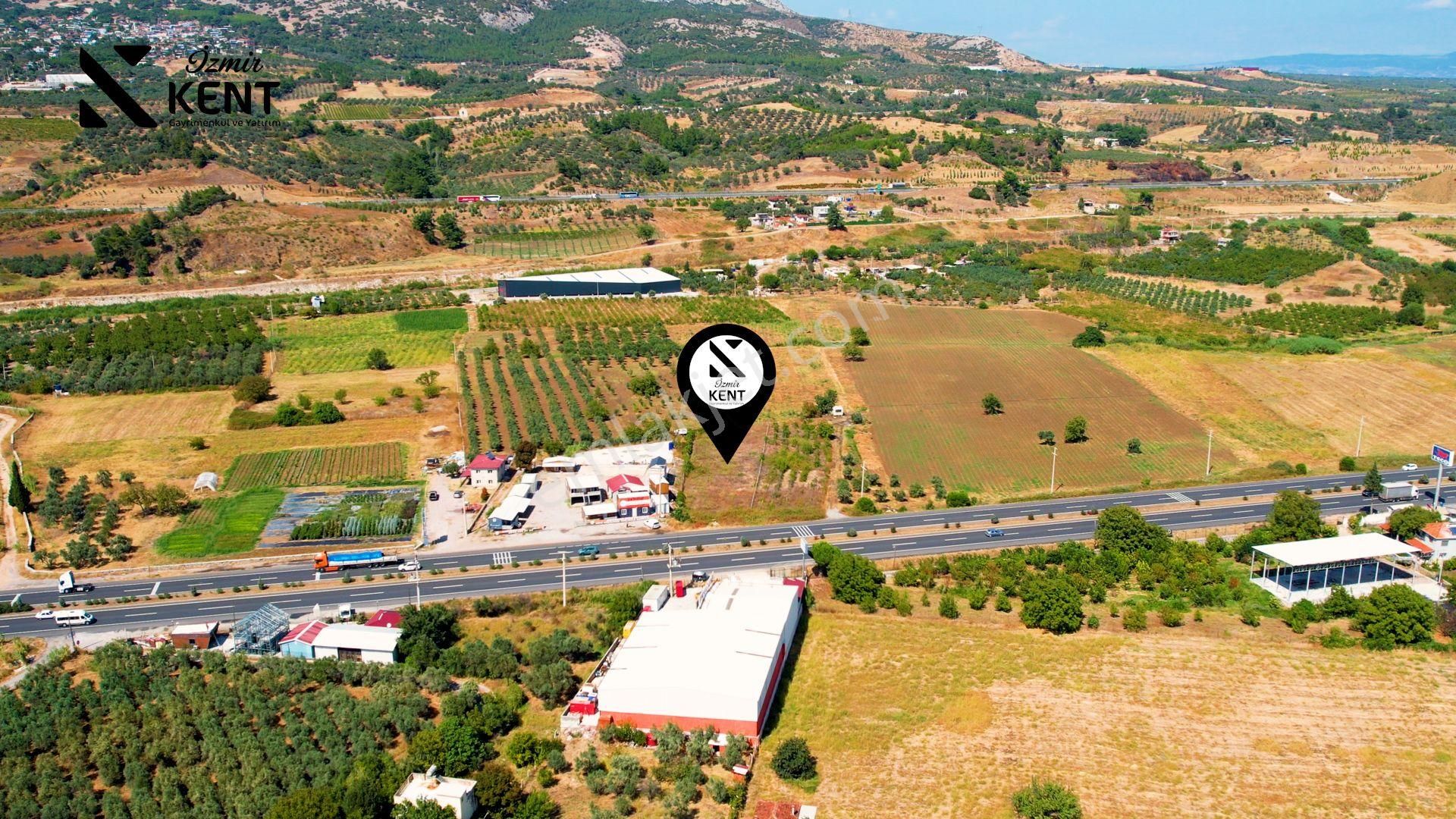 Kemalpaşa Armutlu 85.yıl Ankara Asfaltına Cepheli Satılık 1408 M2 Bahçe - Görsel 6